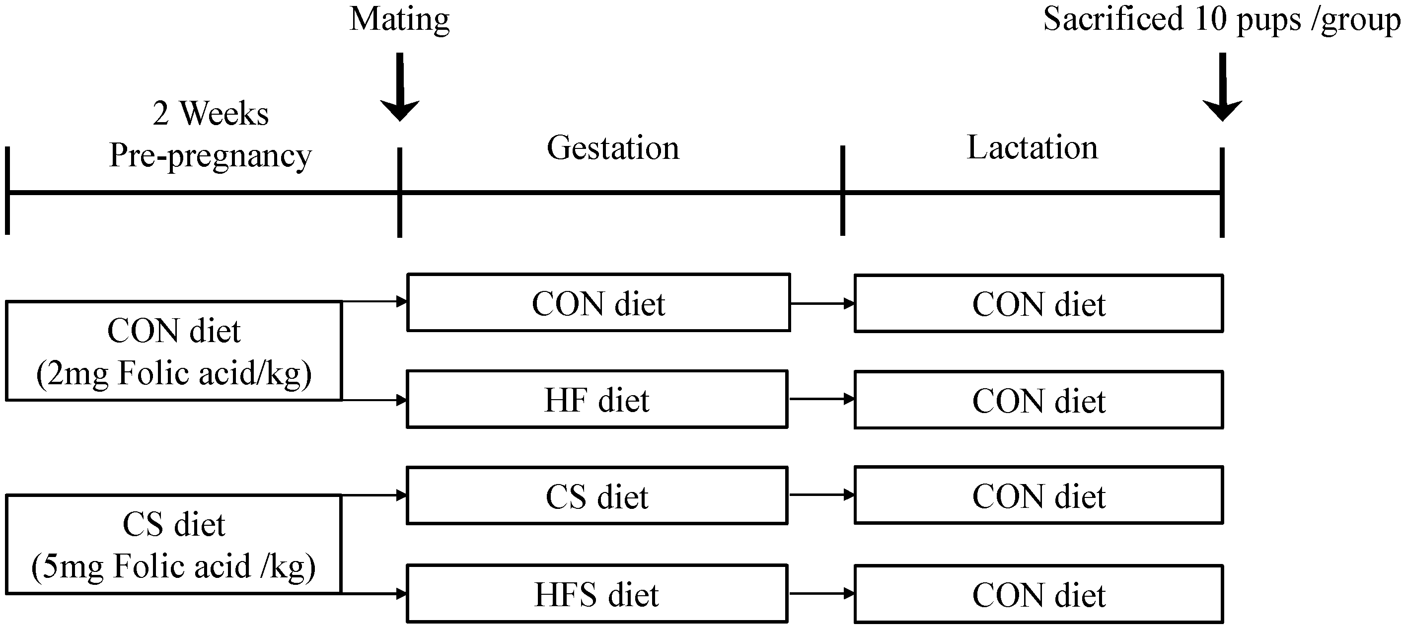 Nutrients 15 04726 g001
