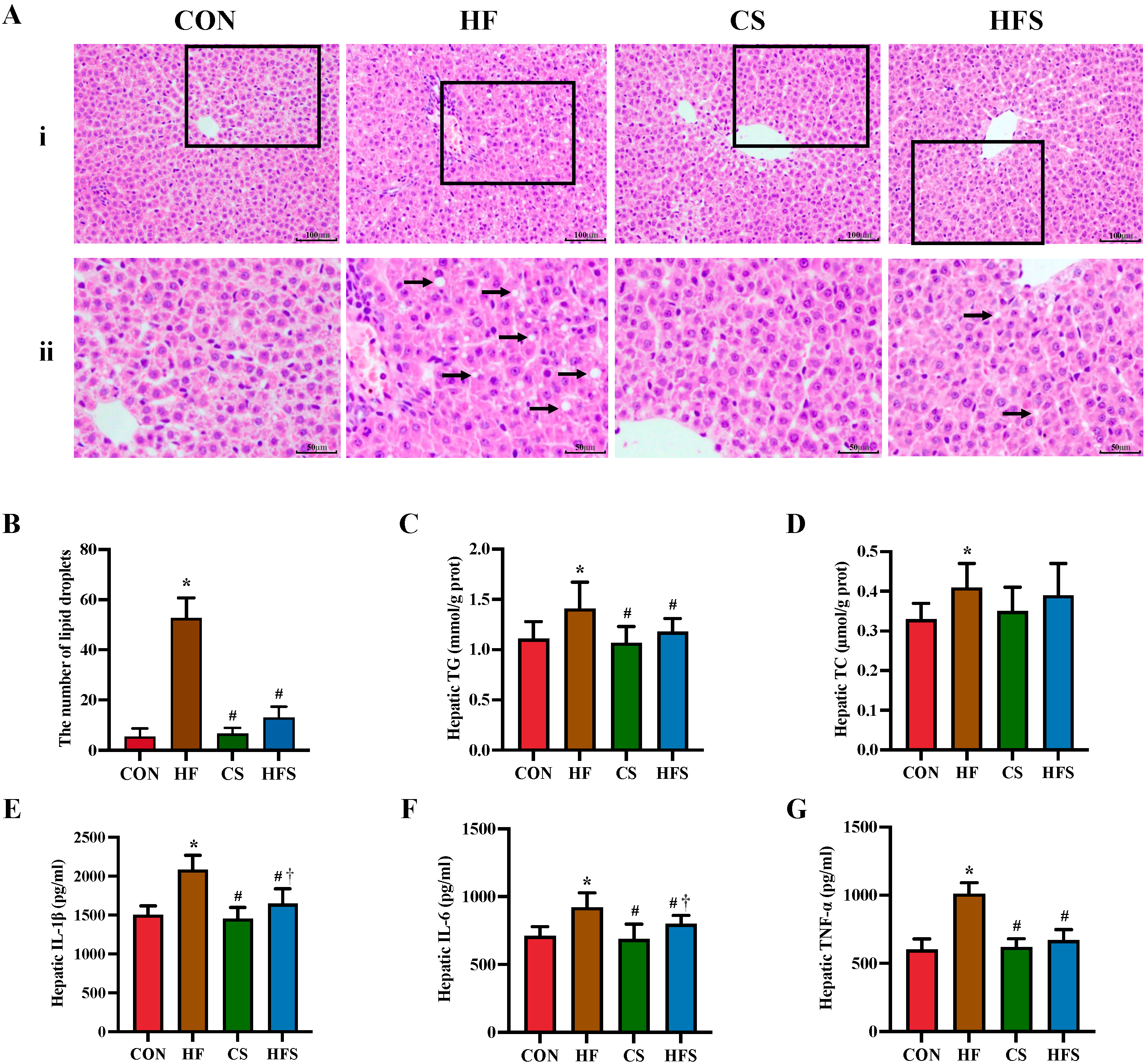 Nutrients 15 04726 g004