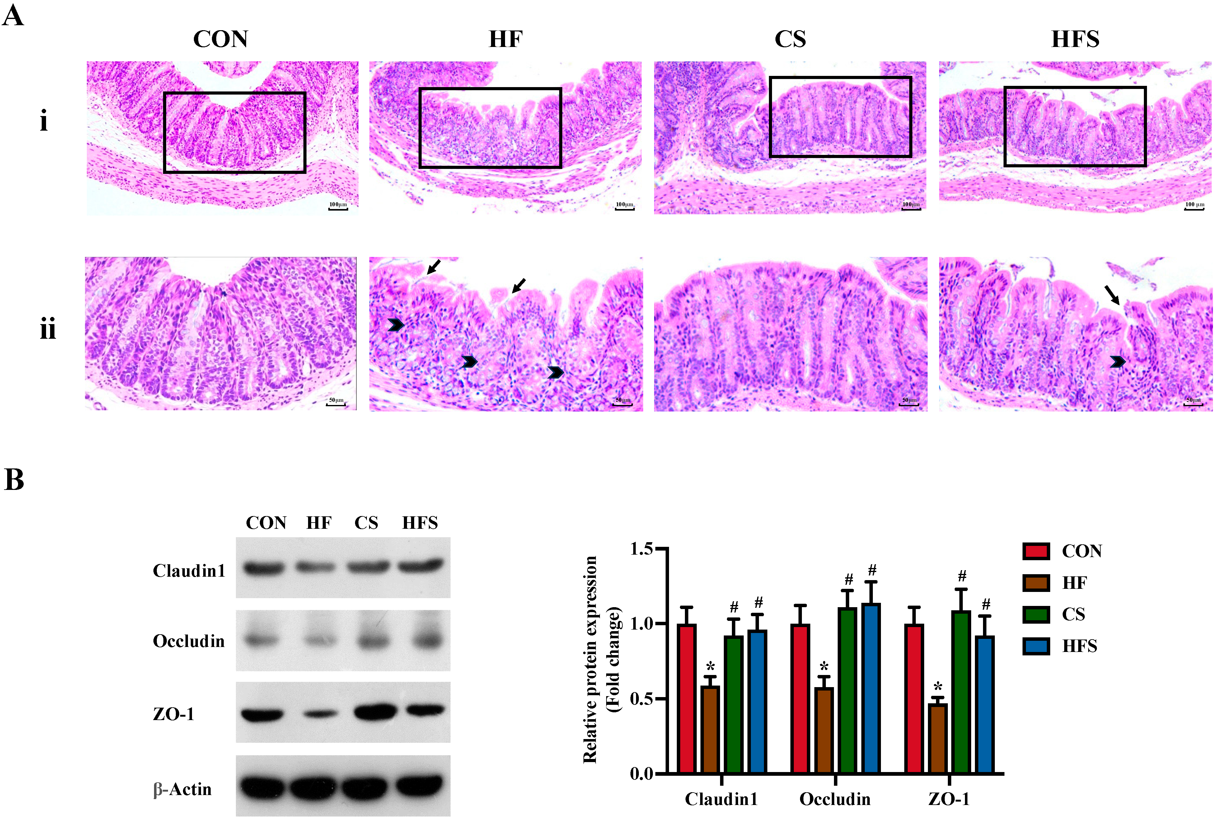 Nutrients 15 04726 g005