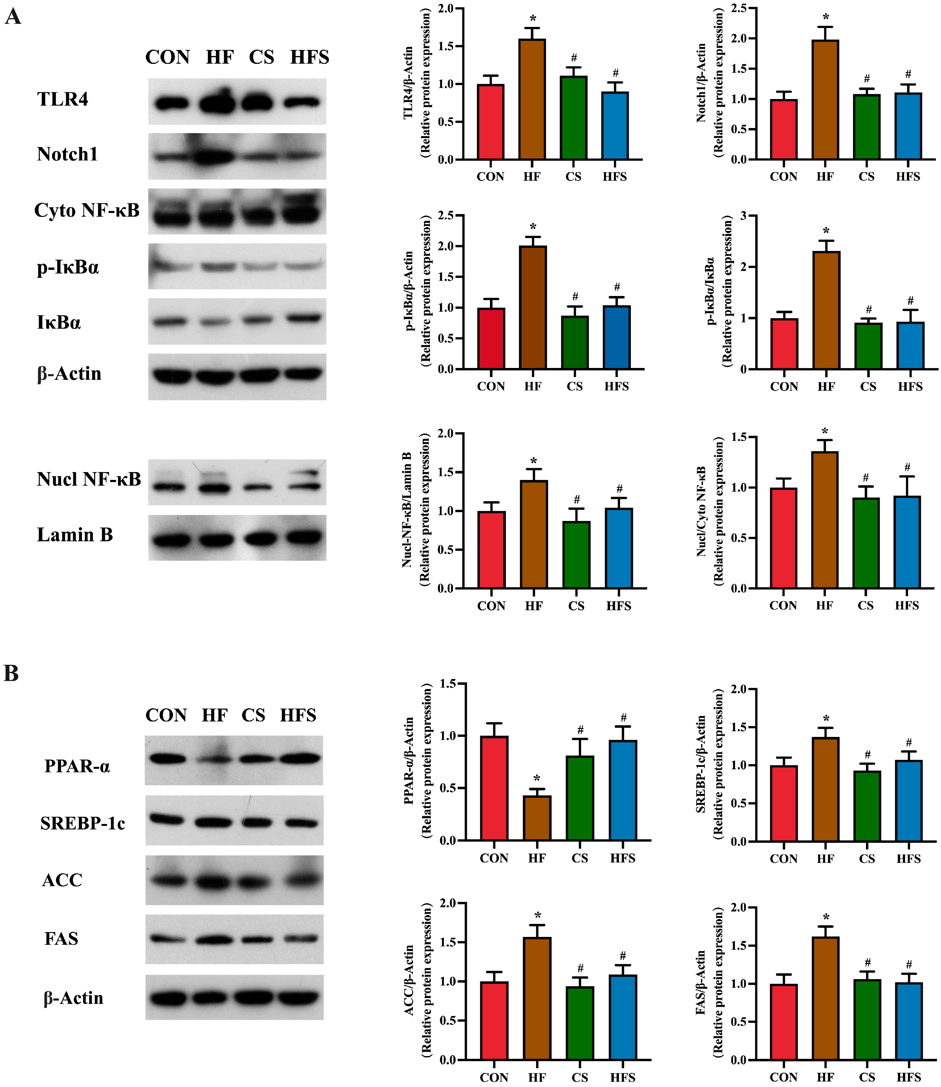Nutrients 15 04726 g006