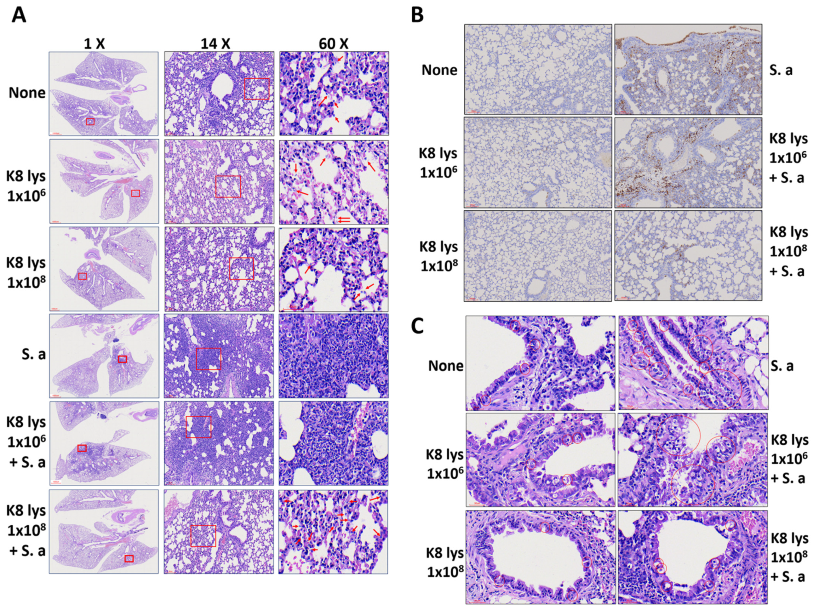 Nutrients 15 04728 g002