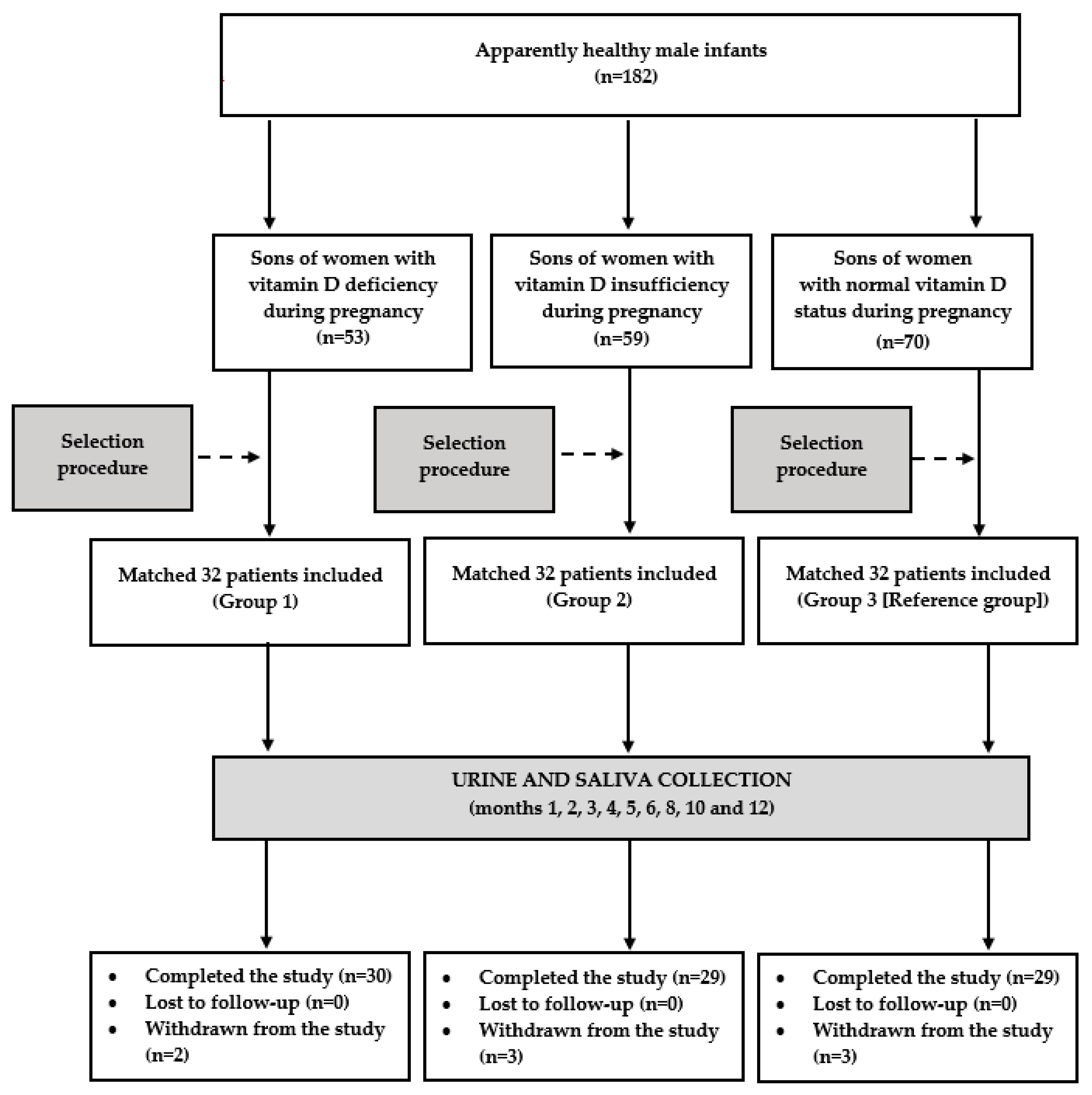 Nutrients 15 04729 g001