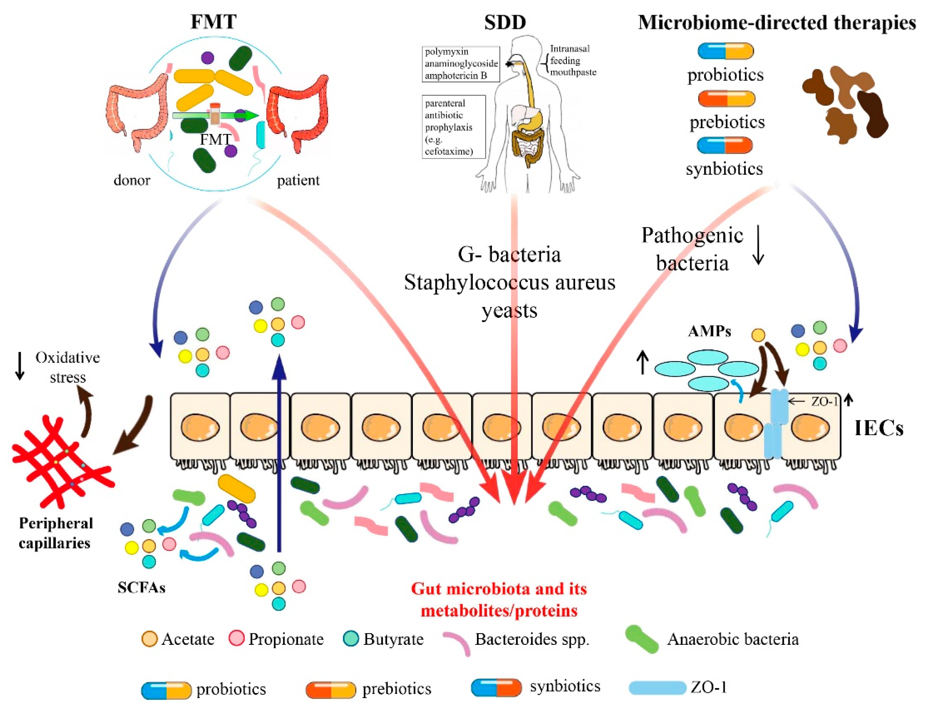 Nutrients 15 04734 g001