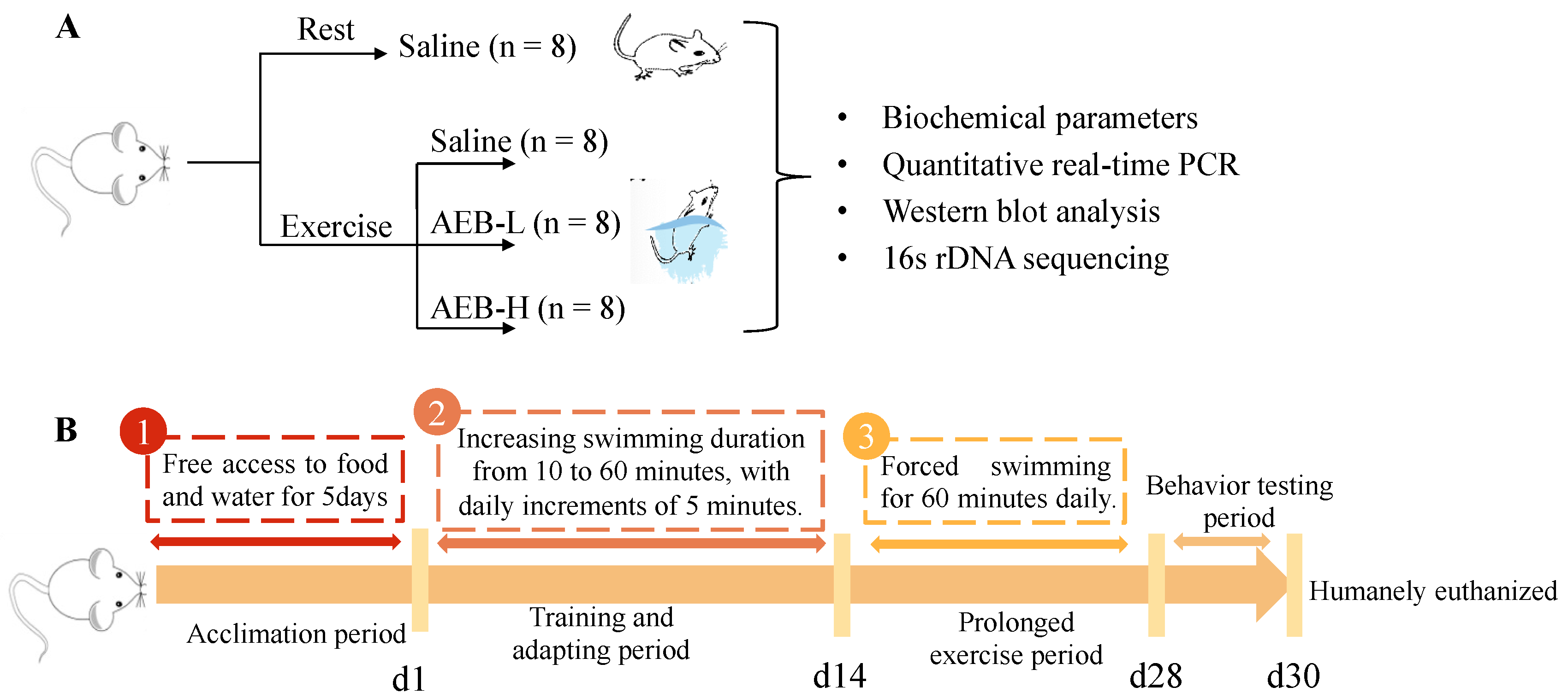 Nutrients 15 04737 g001
