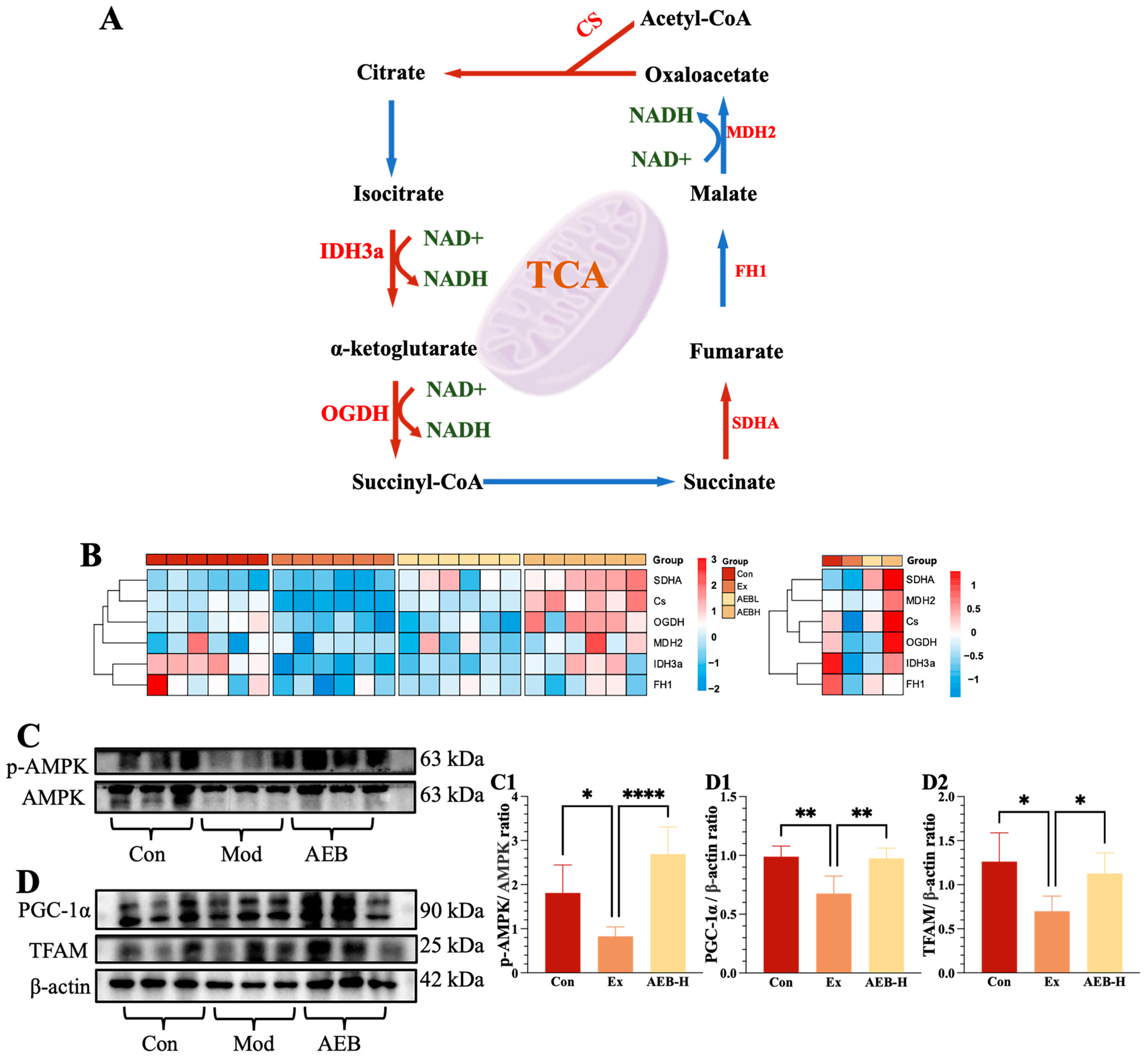 Nutrients 15 04737 g003