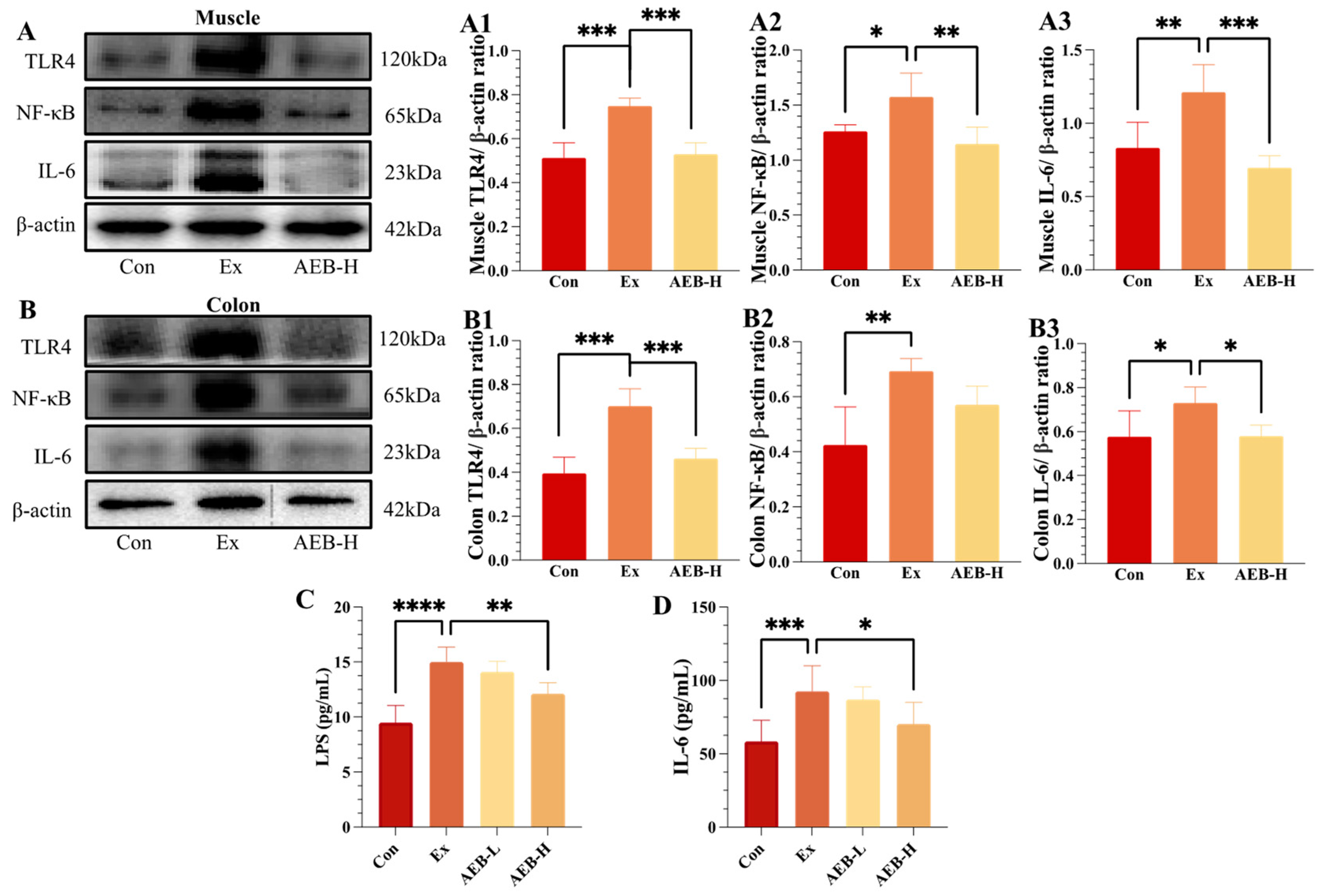Nutrients 15 04737 g004