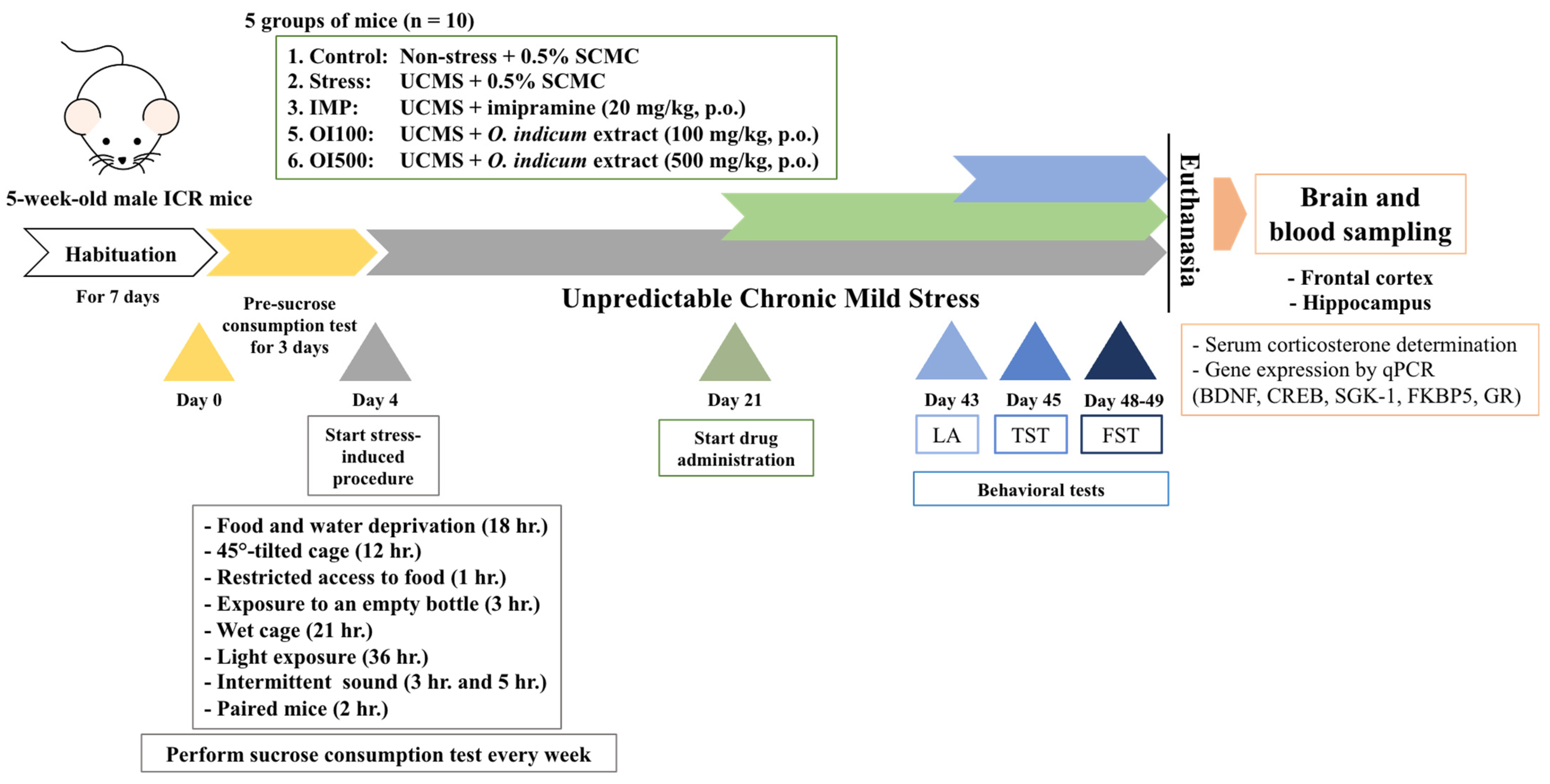Nutrients 15 04742 g002