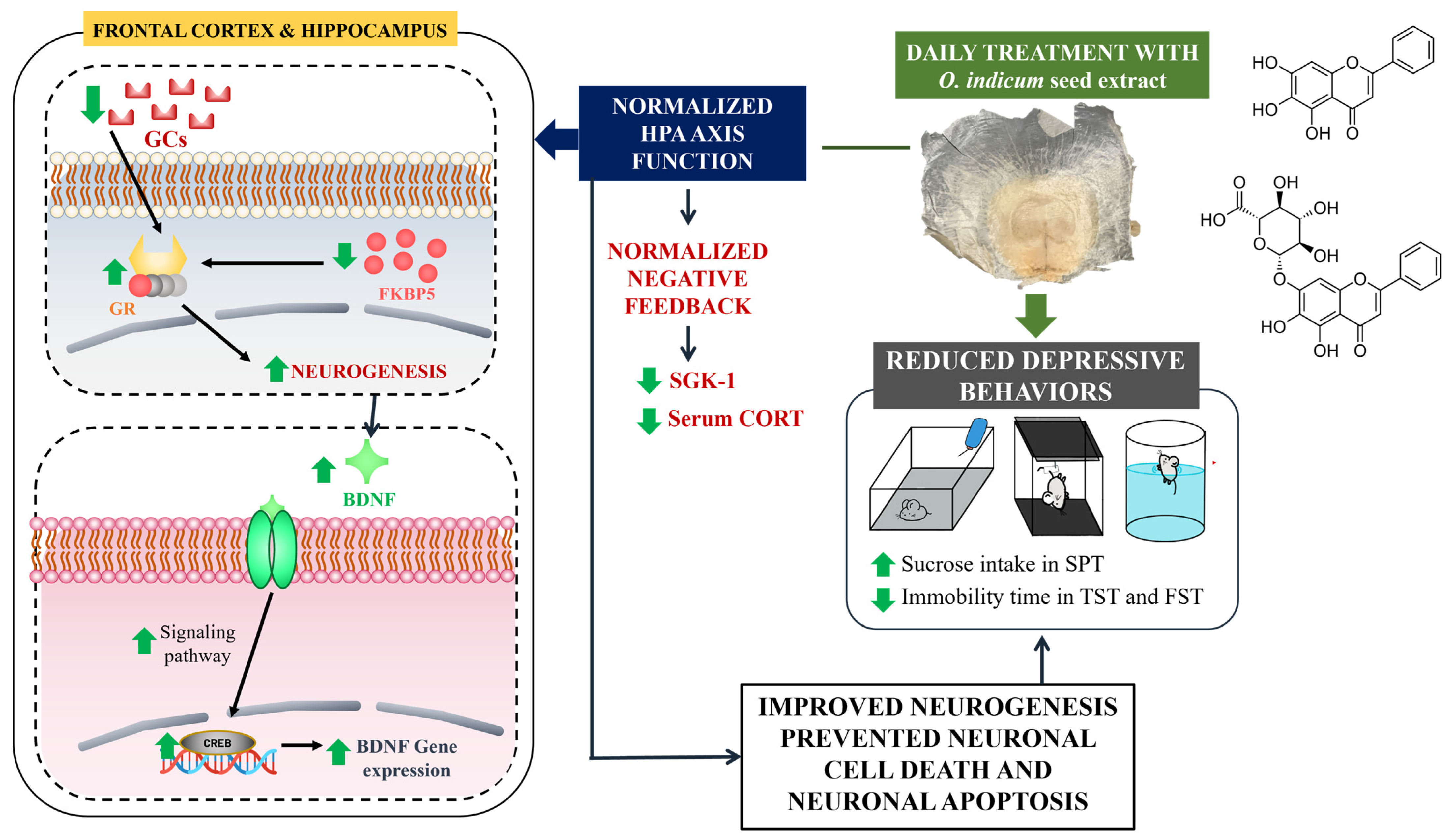 Nutrients 15 04742 g010