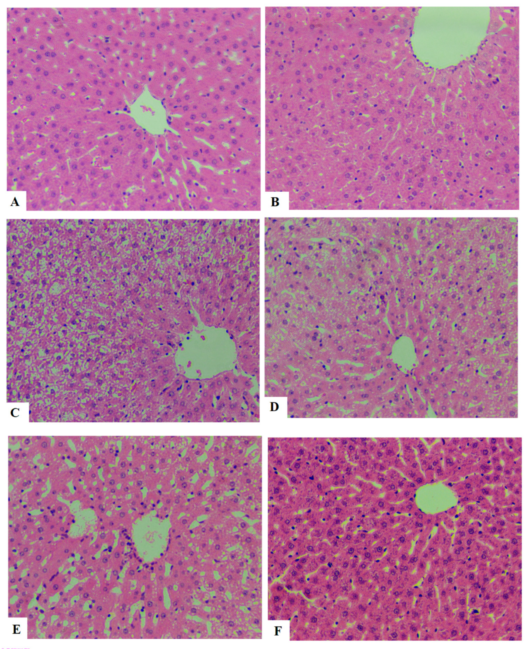 Nutrients 15 04755 g005