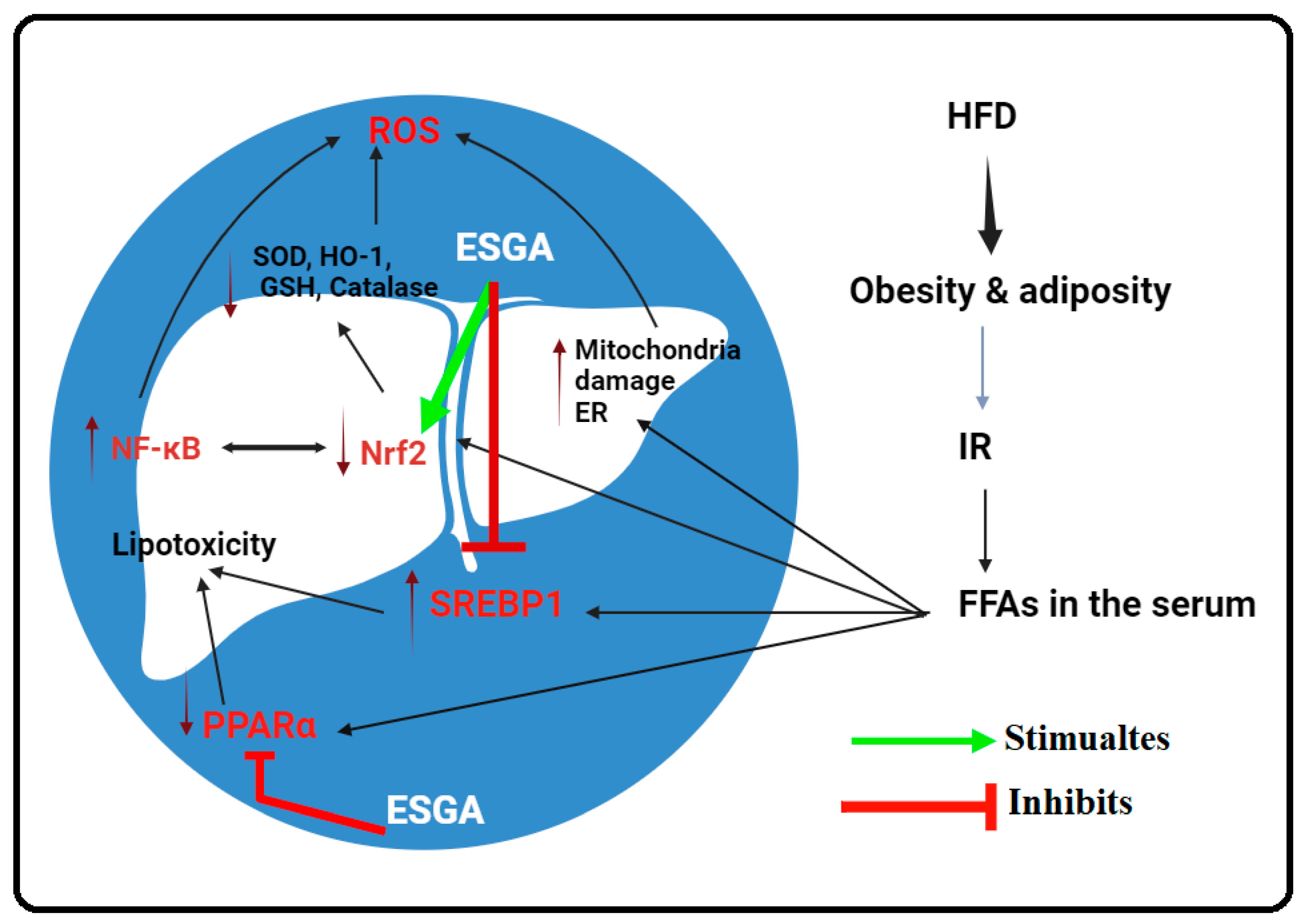 Nutrients 15 04755 g006