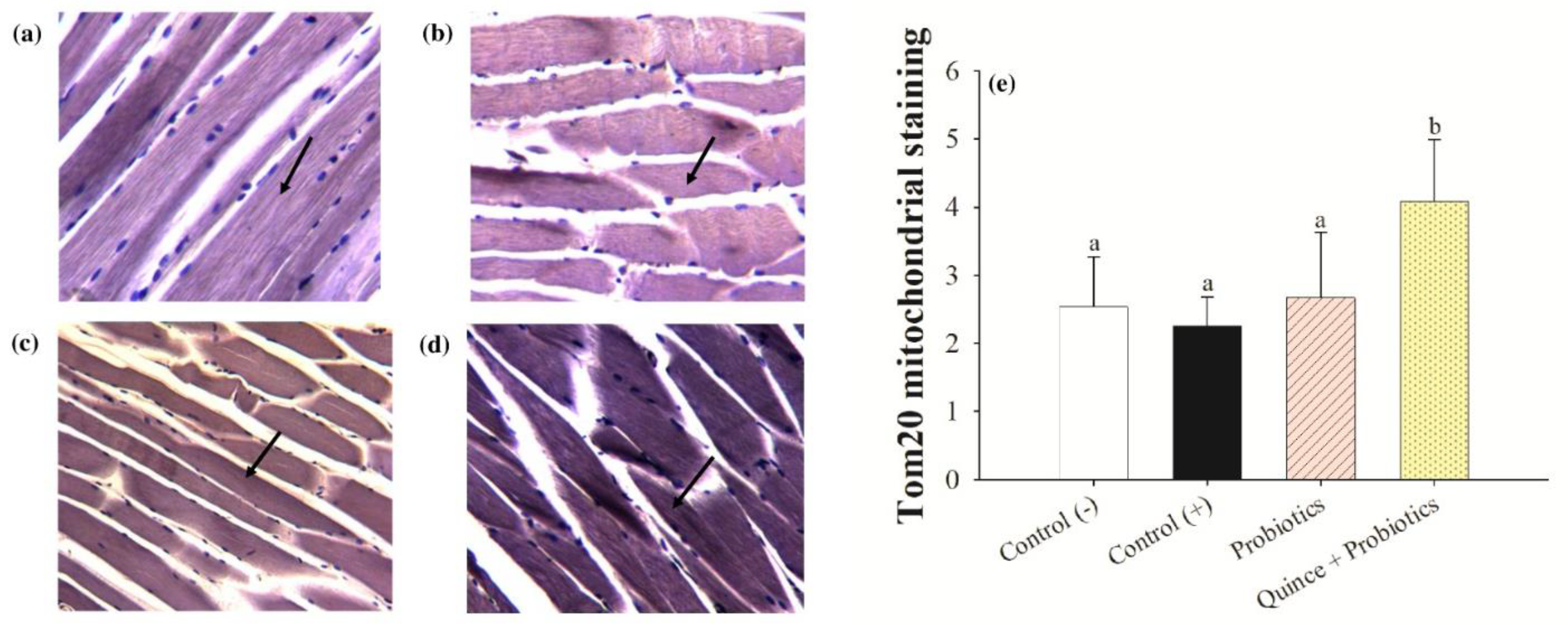 Nutrients 15 04764 g007