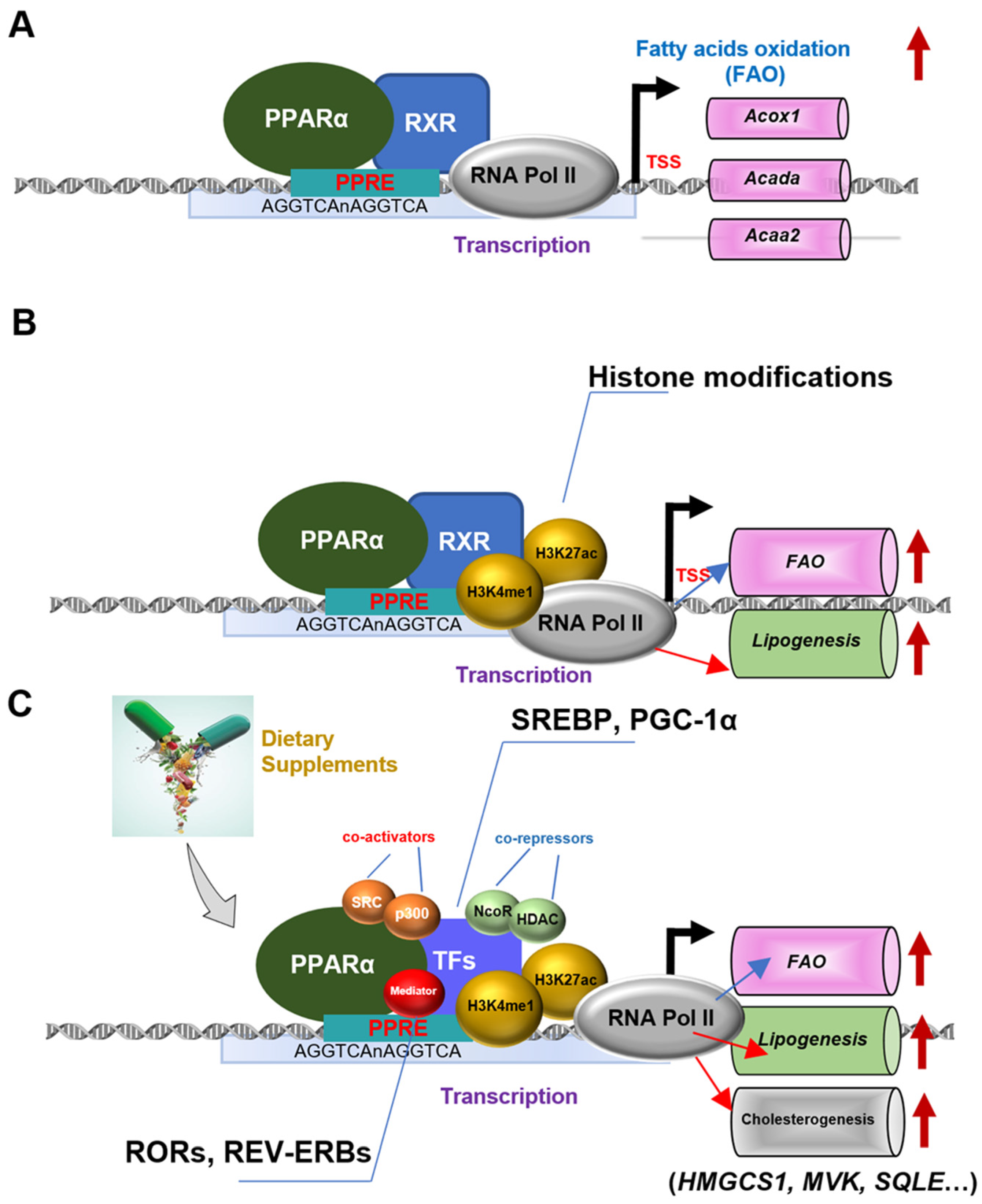 Nutrients 15 04772 g001