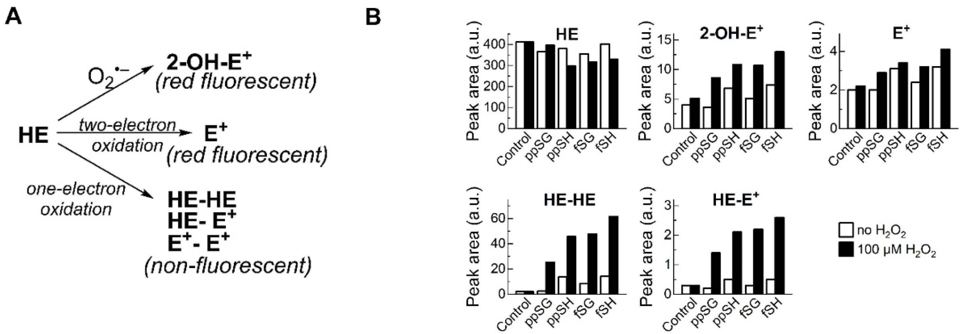 Nutrients 15 04776 g006 Nutrients 15 04776 g006