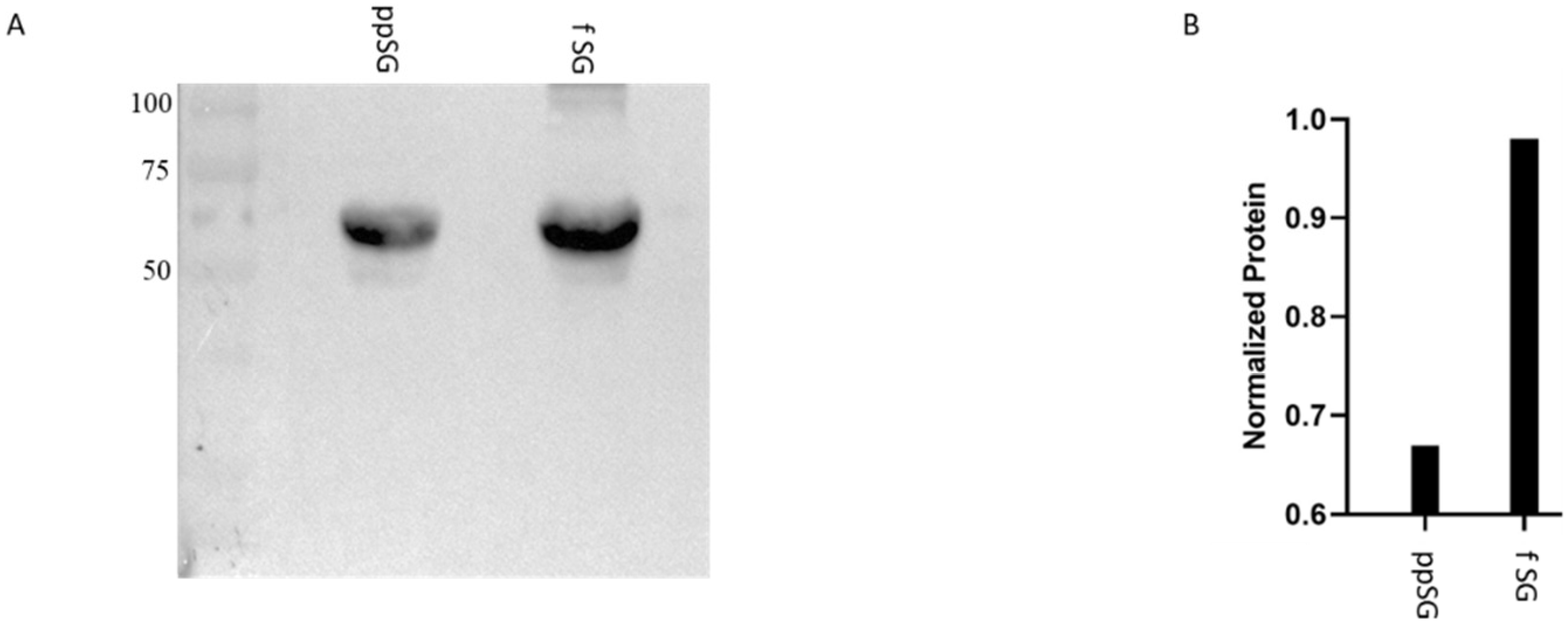 Nutrients 15 04776 g007 Nutrients 15 04776 g007