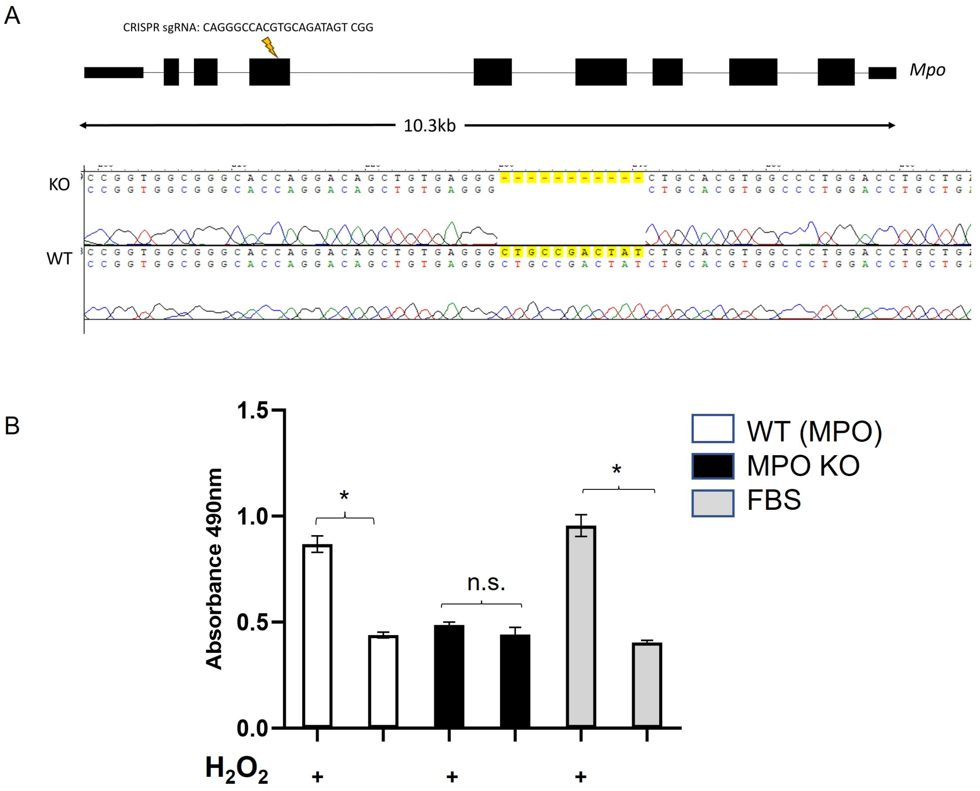 Nutrients 15 04776 g008 Nutrients 15 04776 g008
