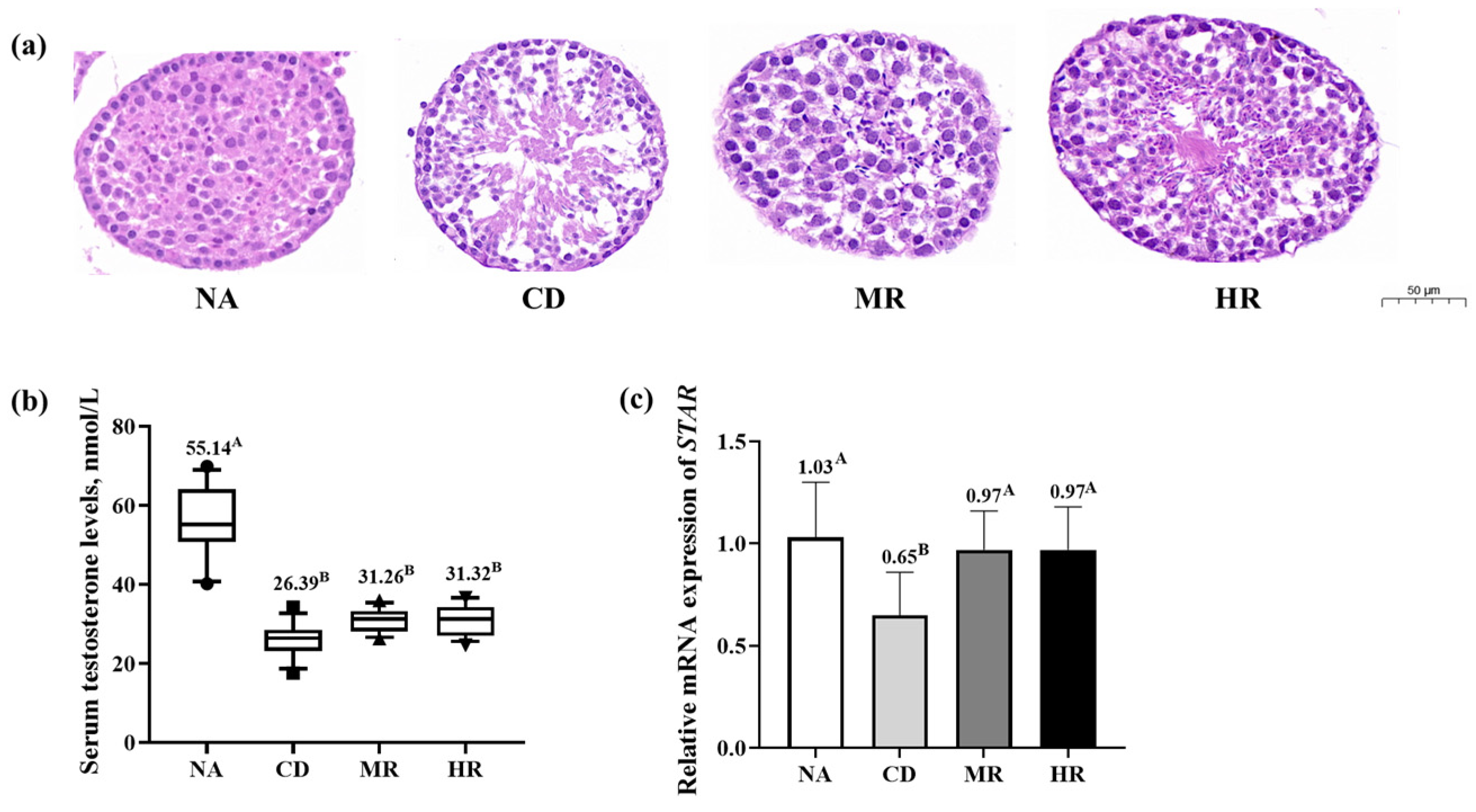 Nutrients 15 04782 g002