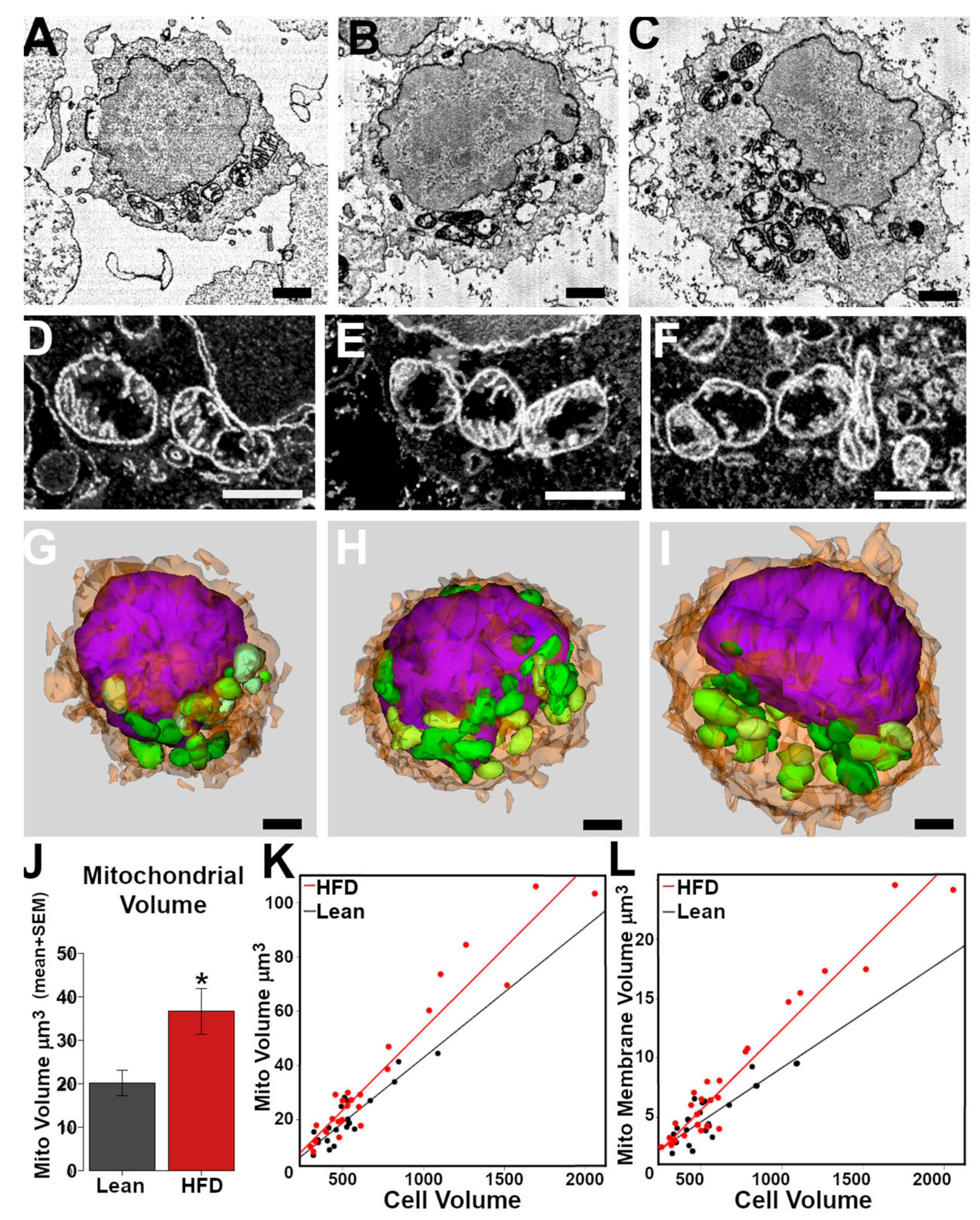 Nutrients 15 04807 g005