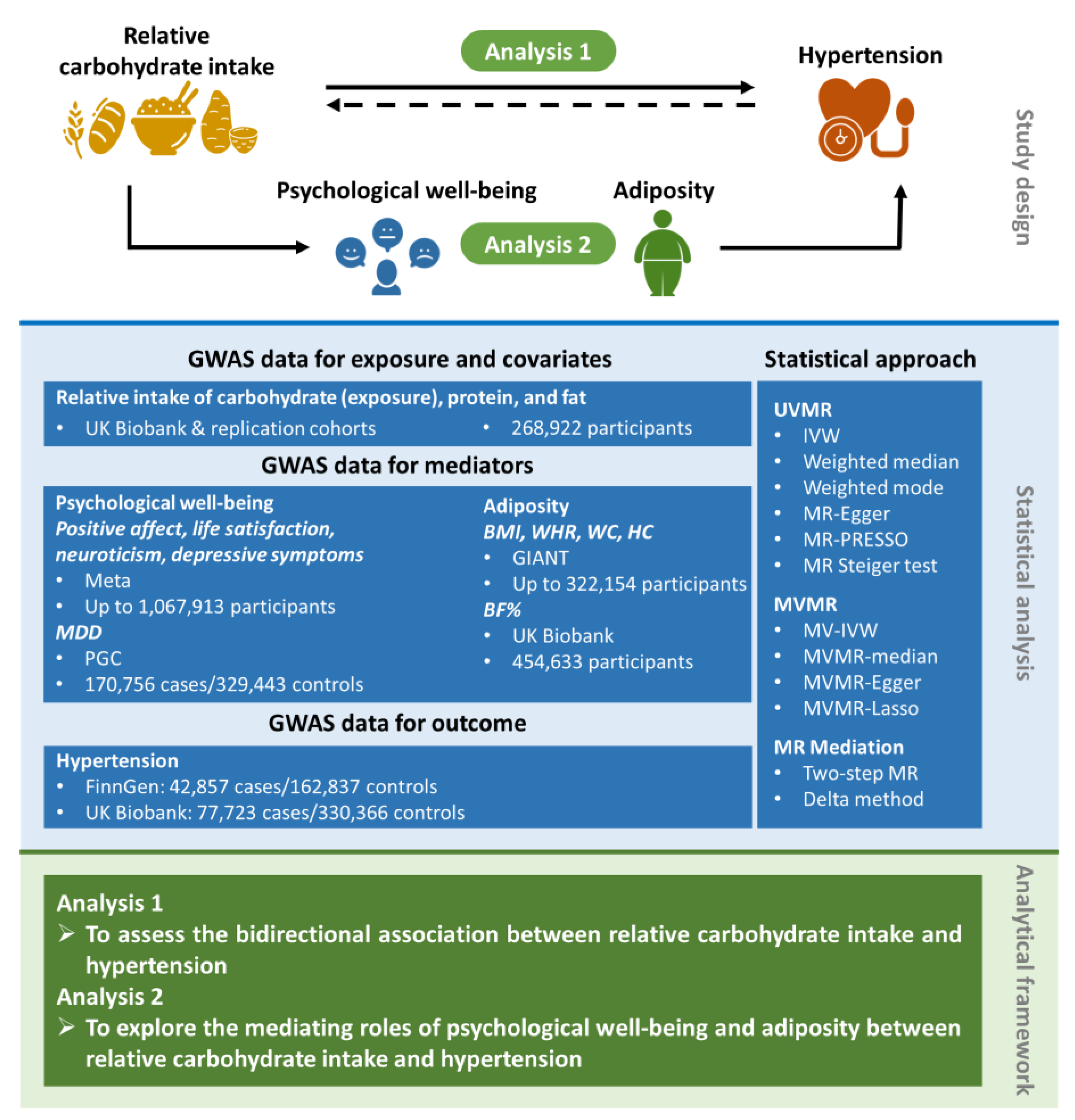 Nutrients 15 04817 g001