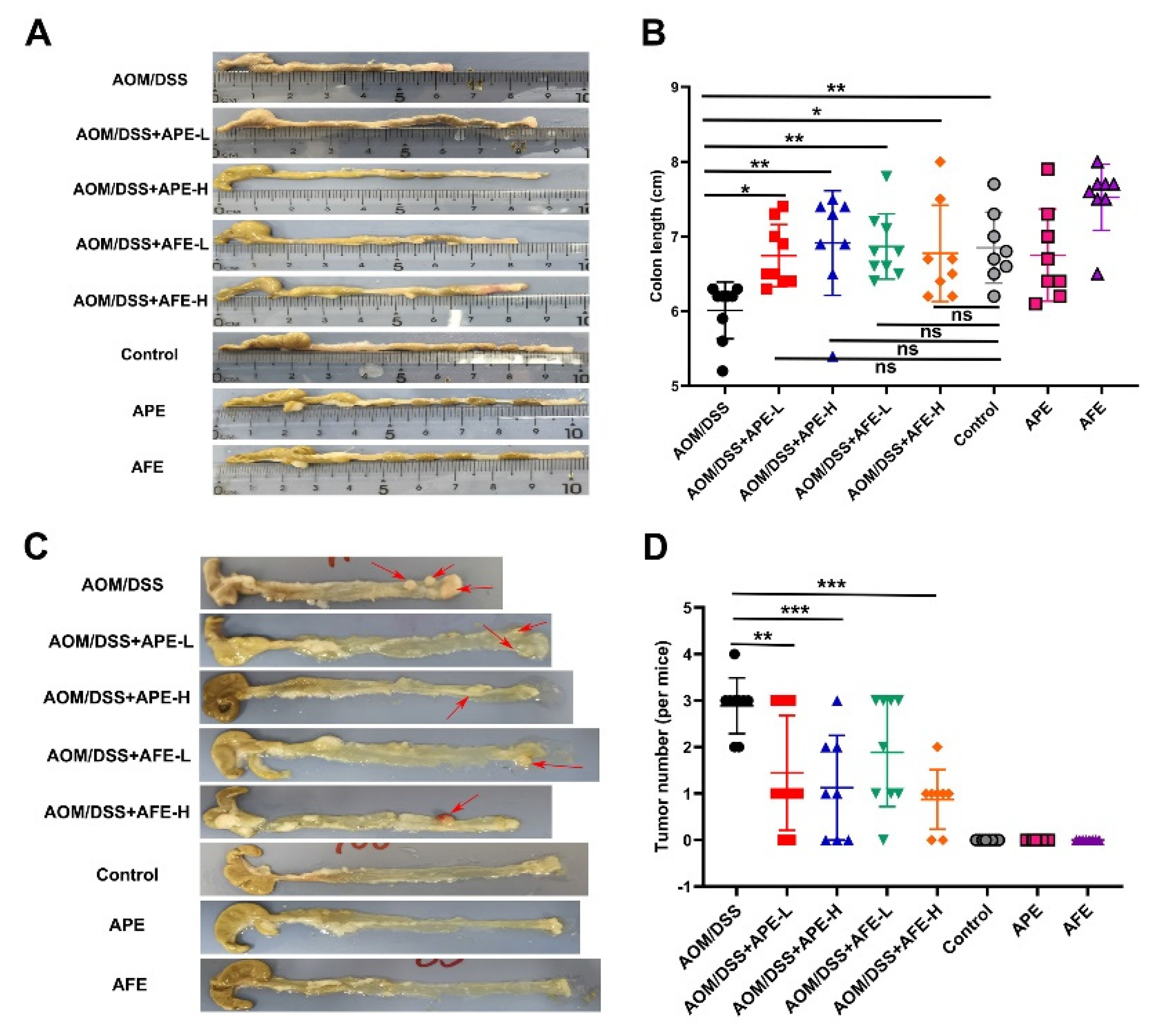 Nutrients 15 04820 g002