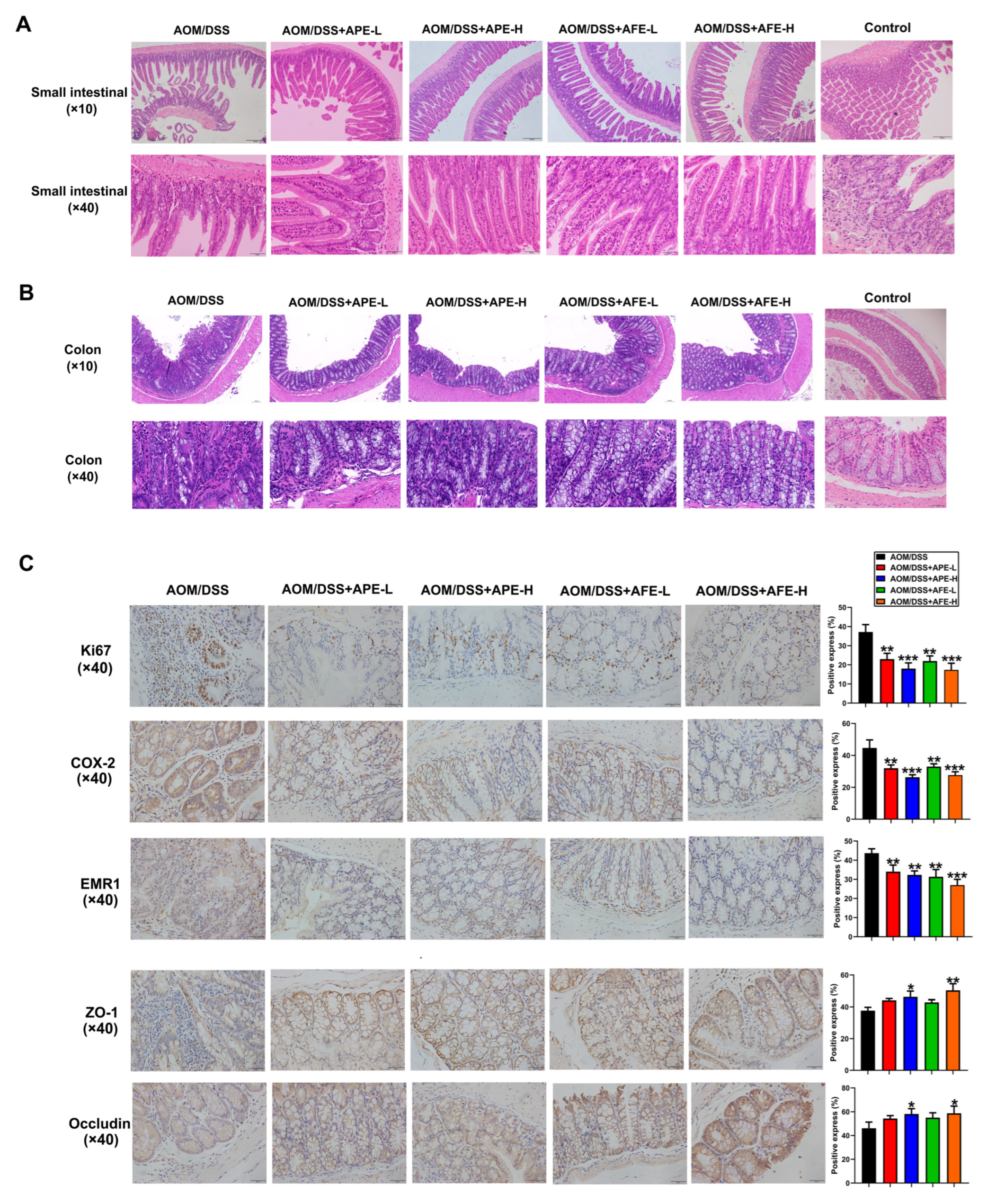 Nutrients 15 04820 g004