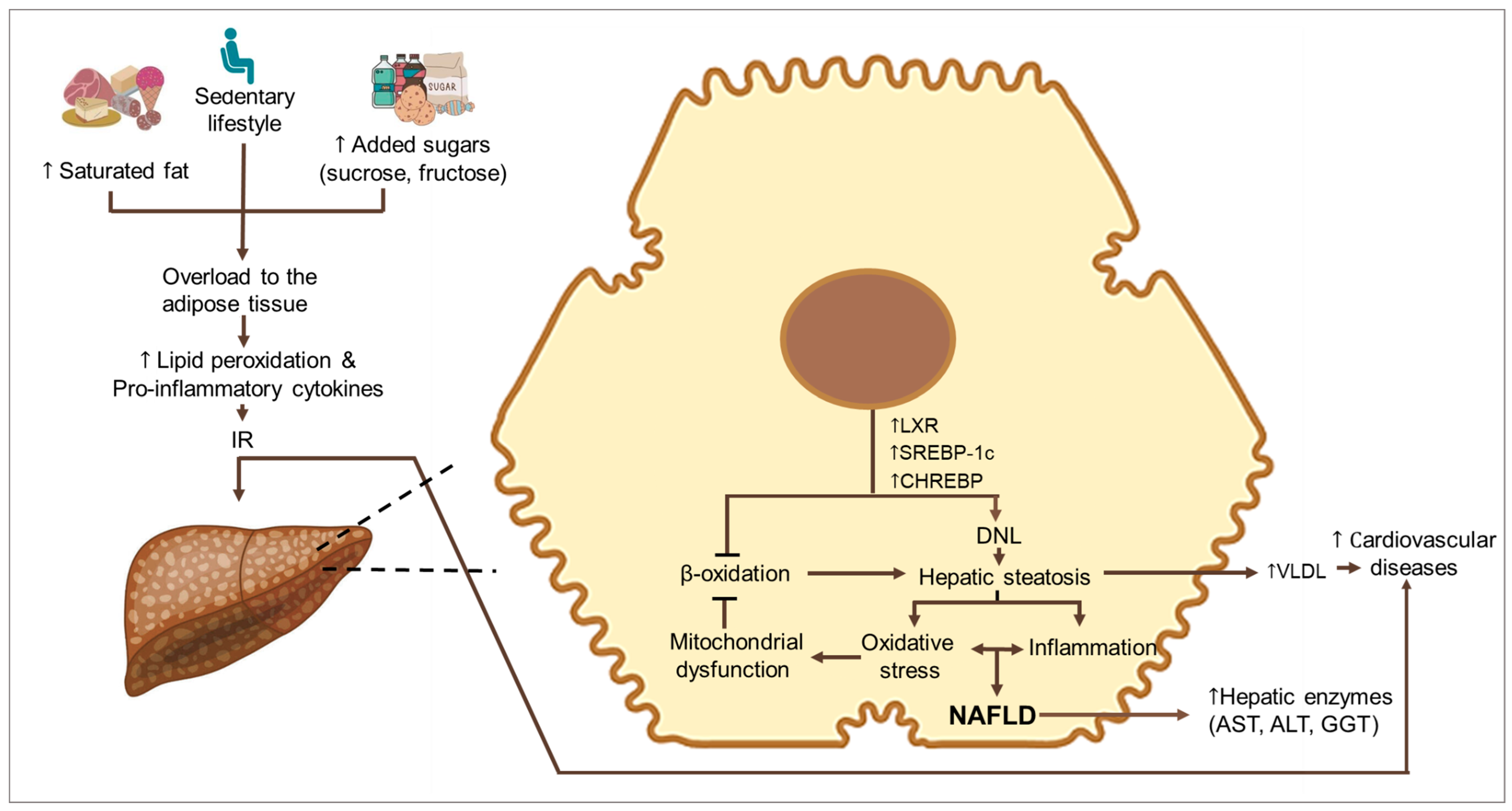 Nutrients 15 04829 g001