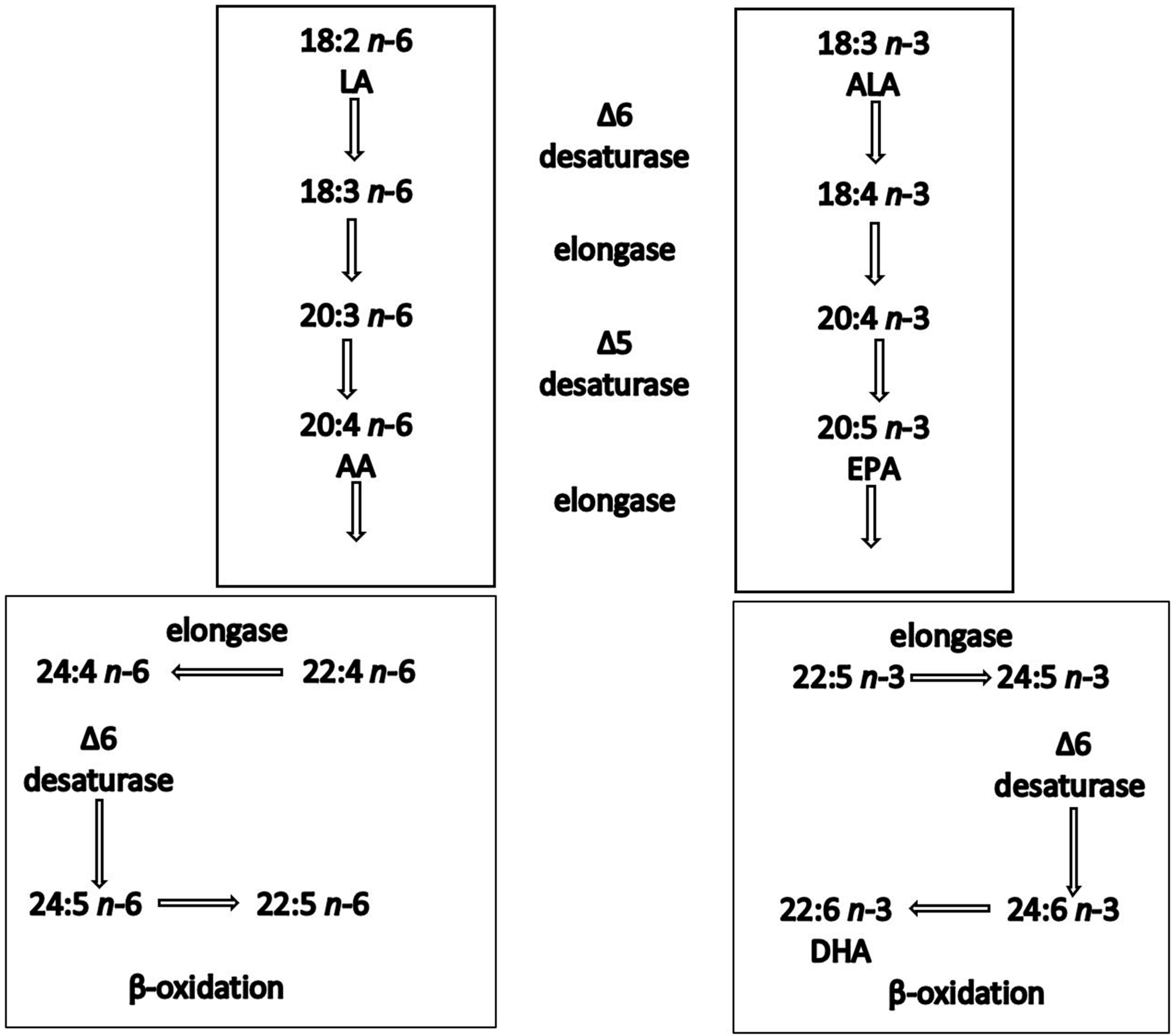 Nutrients 15 04830 g001