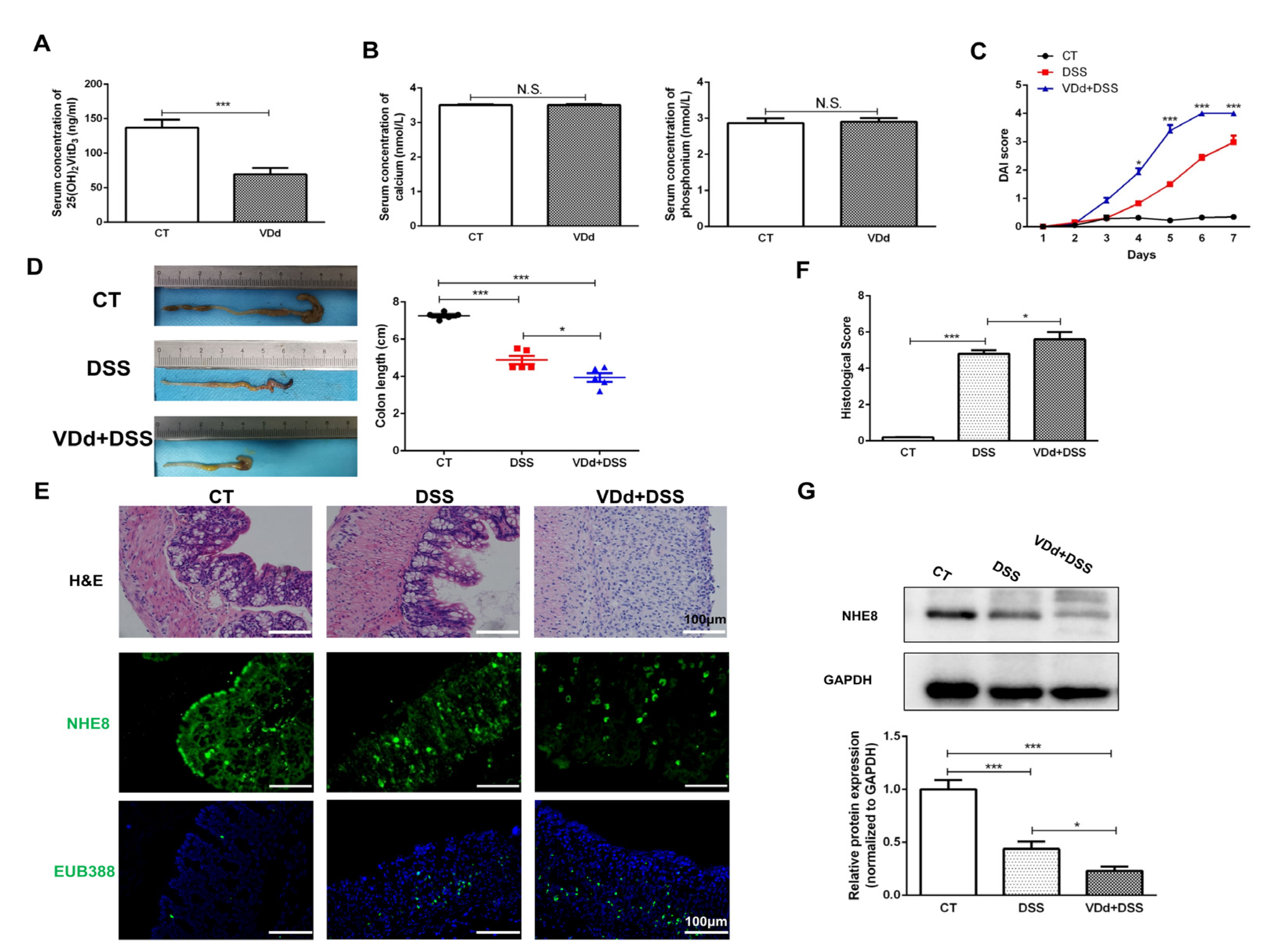 Nutrients 15 04834 g002
