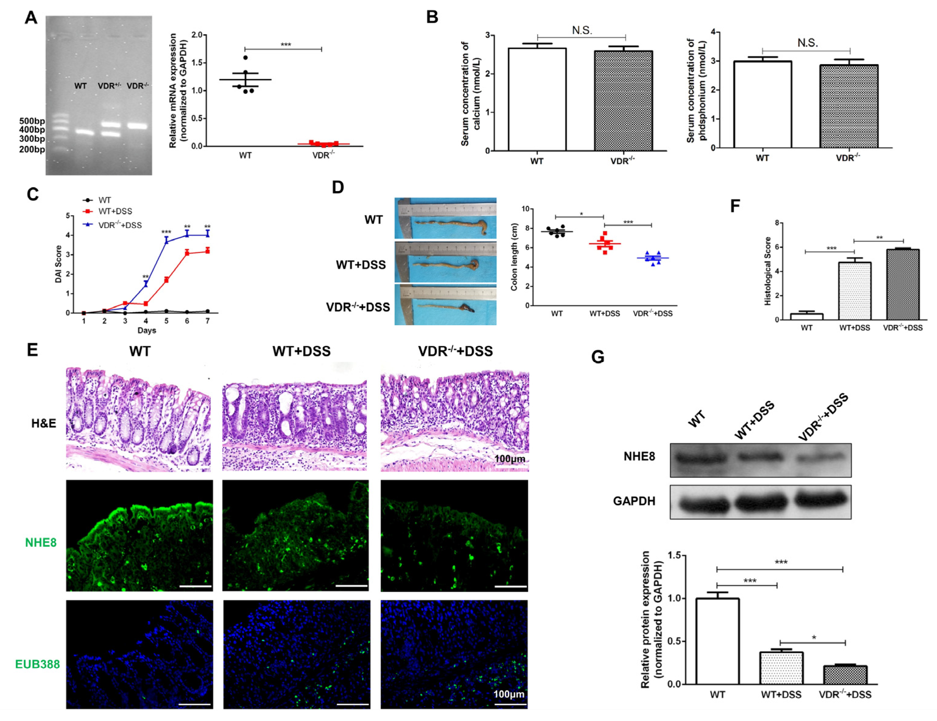 Nutrients 15 04834 g003
