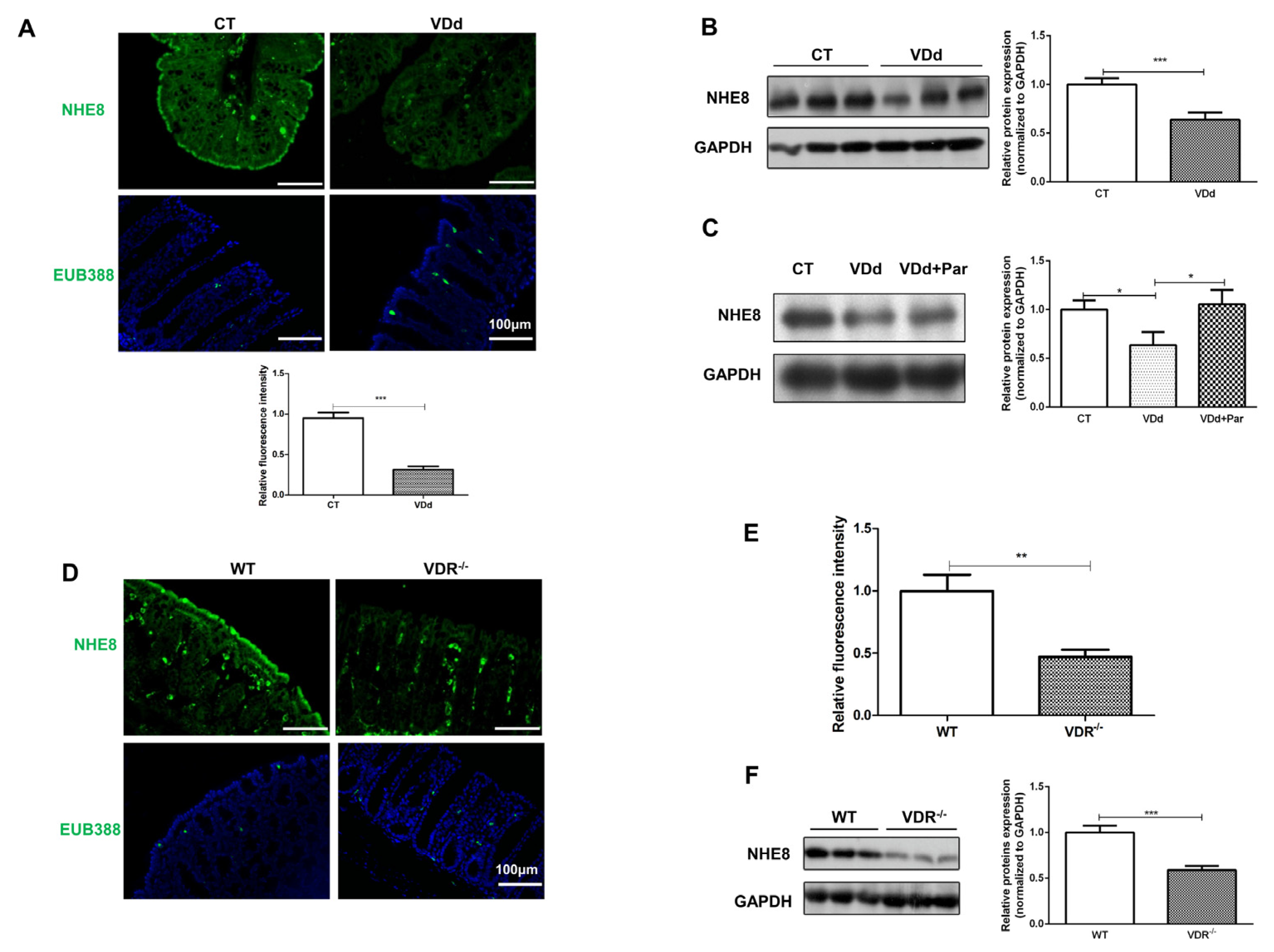 Nutrients 15 04834 g005