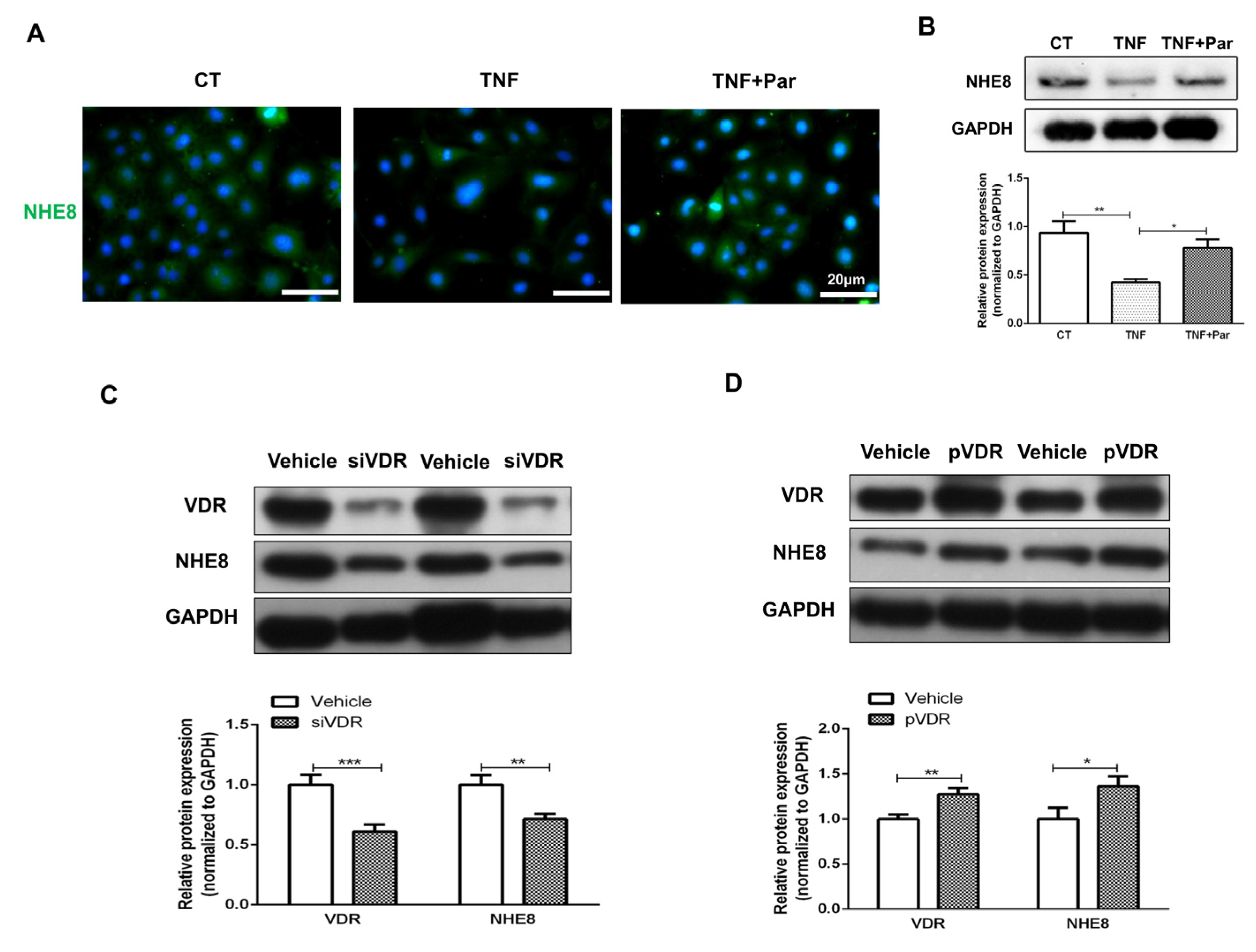 Nutrients 15 04834 g006