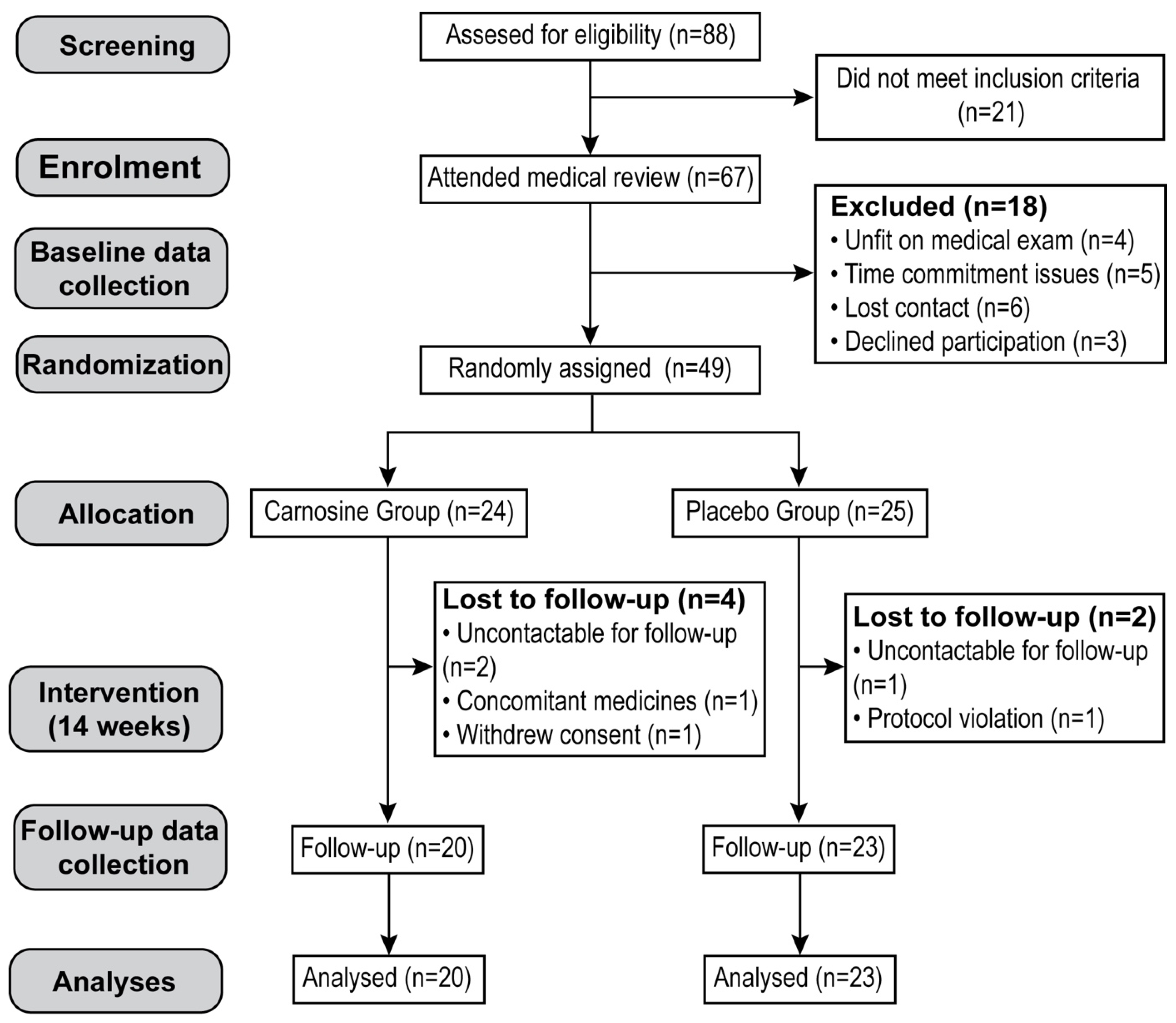 Nutrients 15 04835 g001