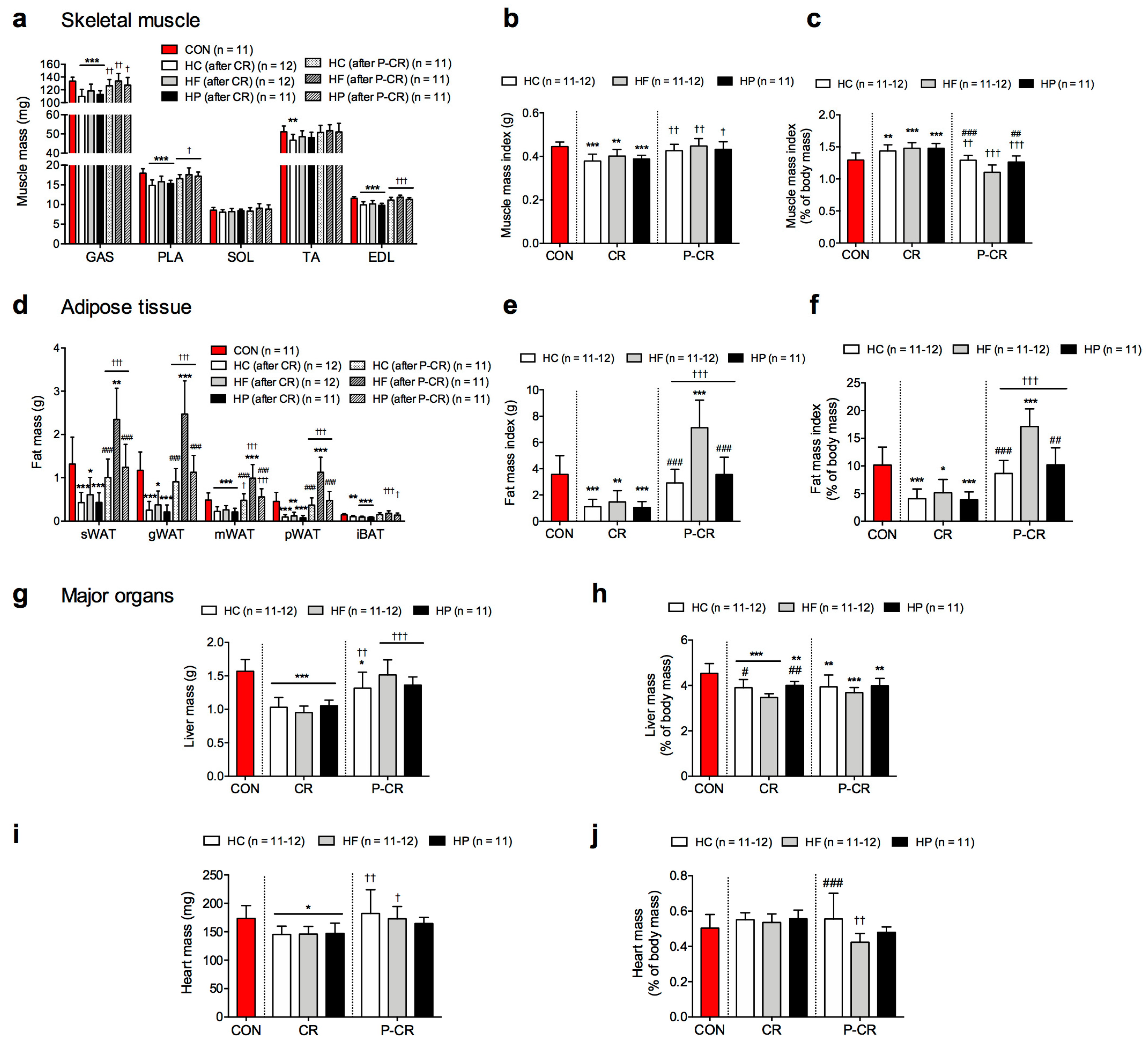 Nutrients 15 04836 g002