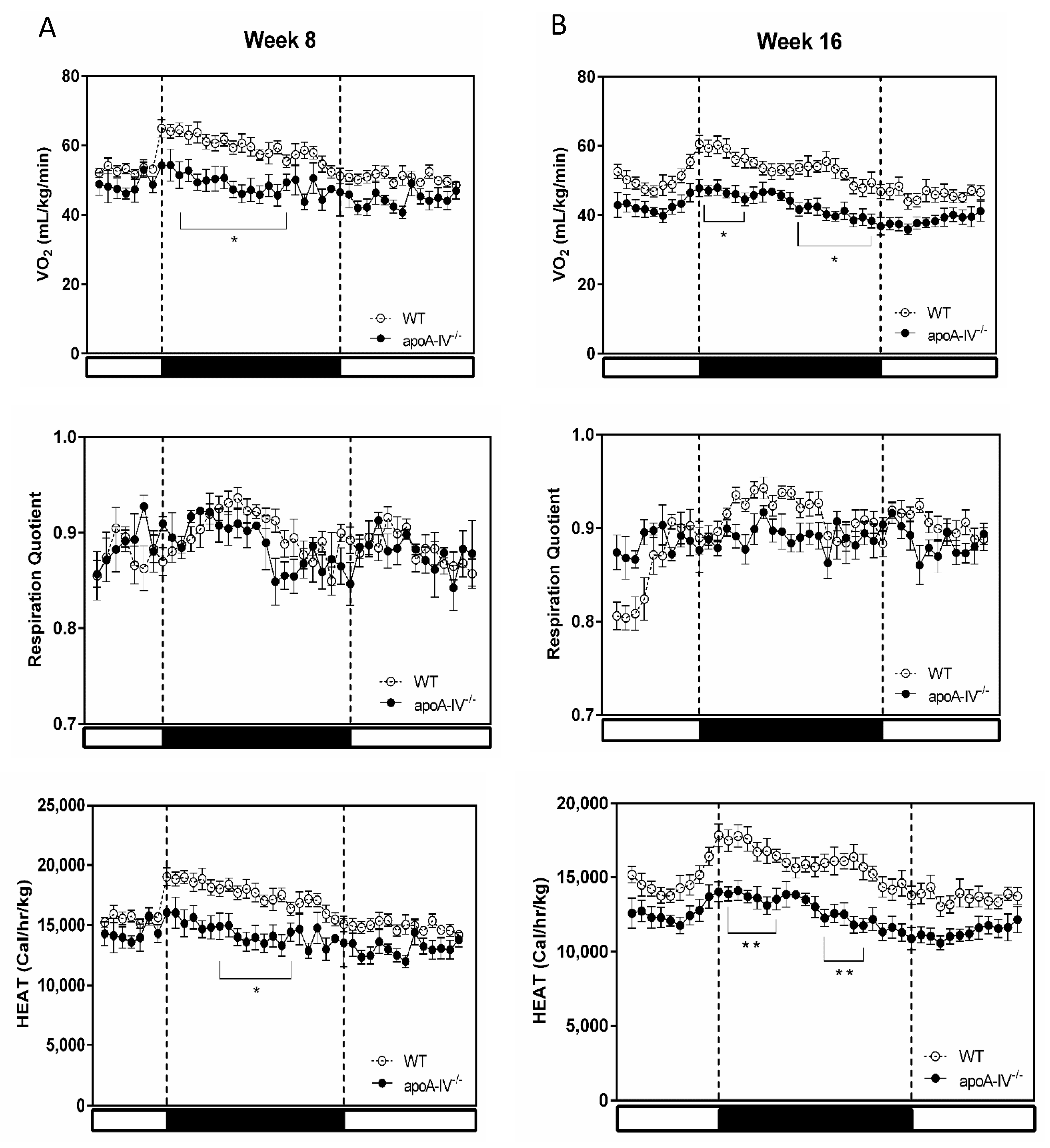 Nutrients 15 04840 g002