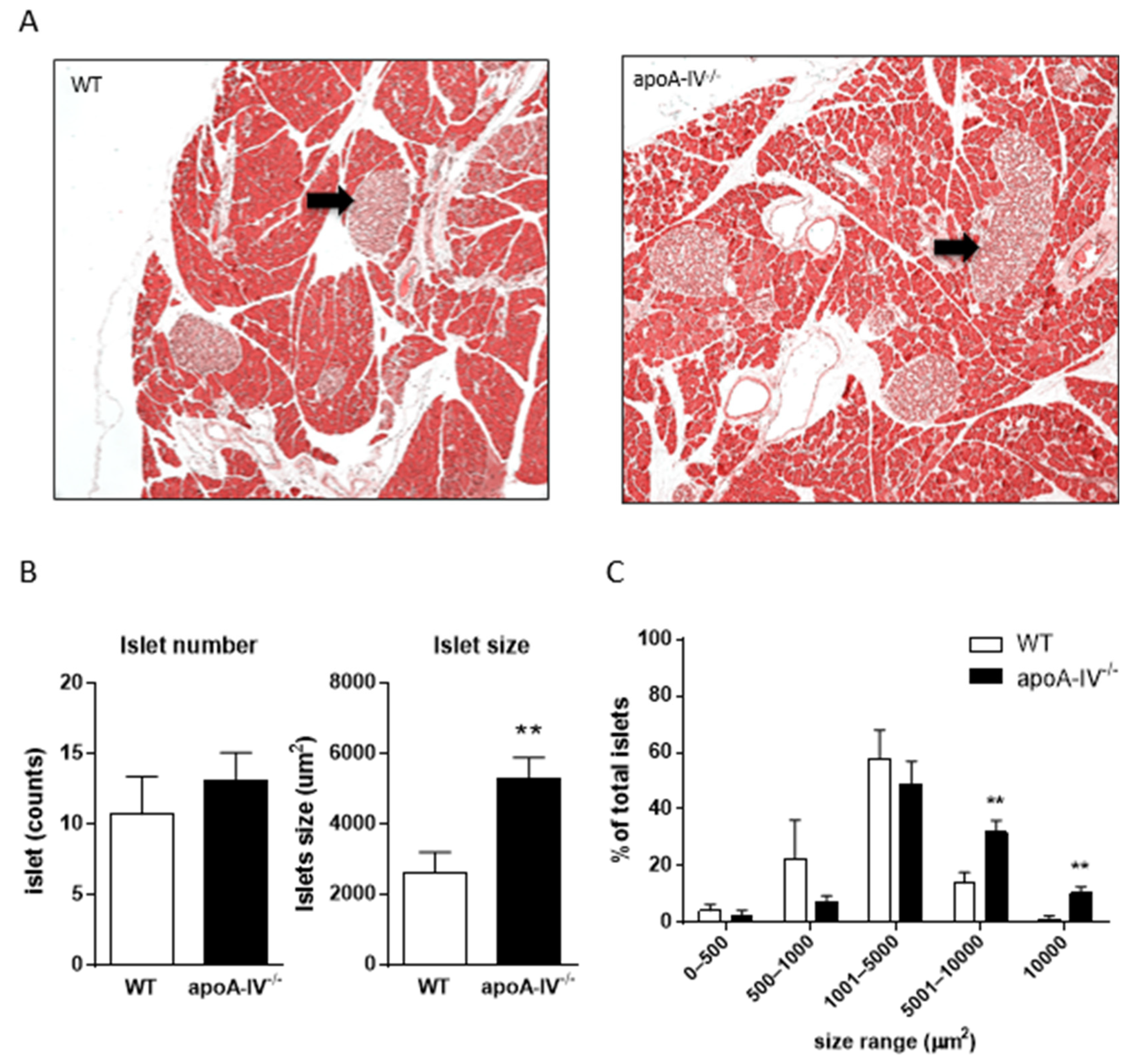 Nutrients 15 04840 g004