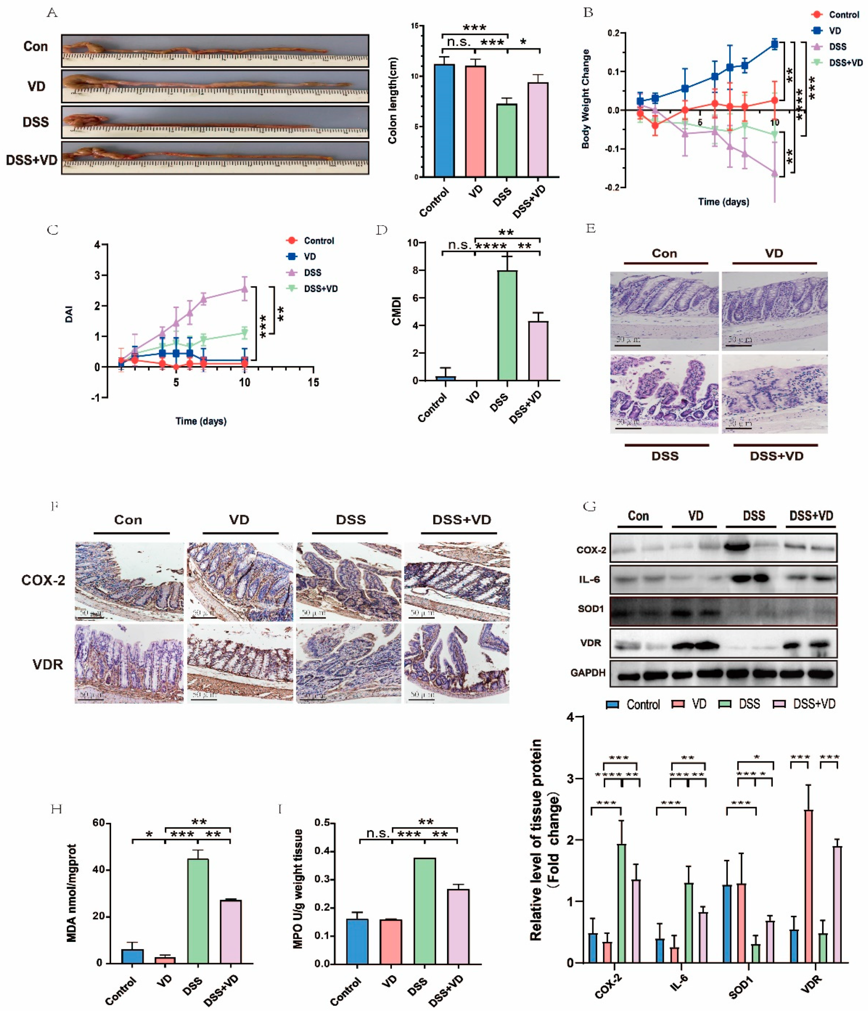 Nutrients 15 04845 g001