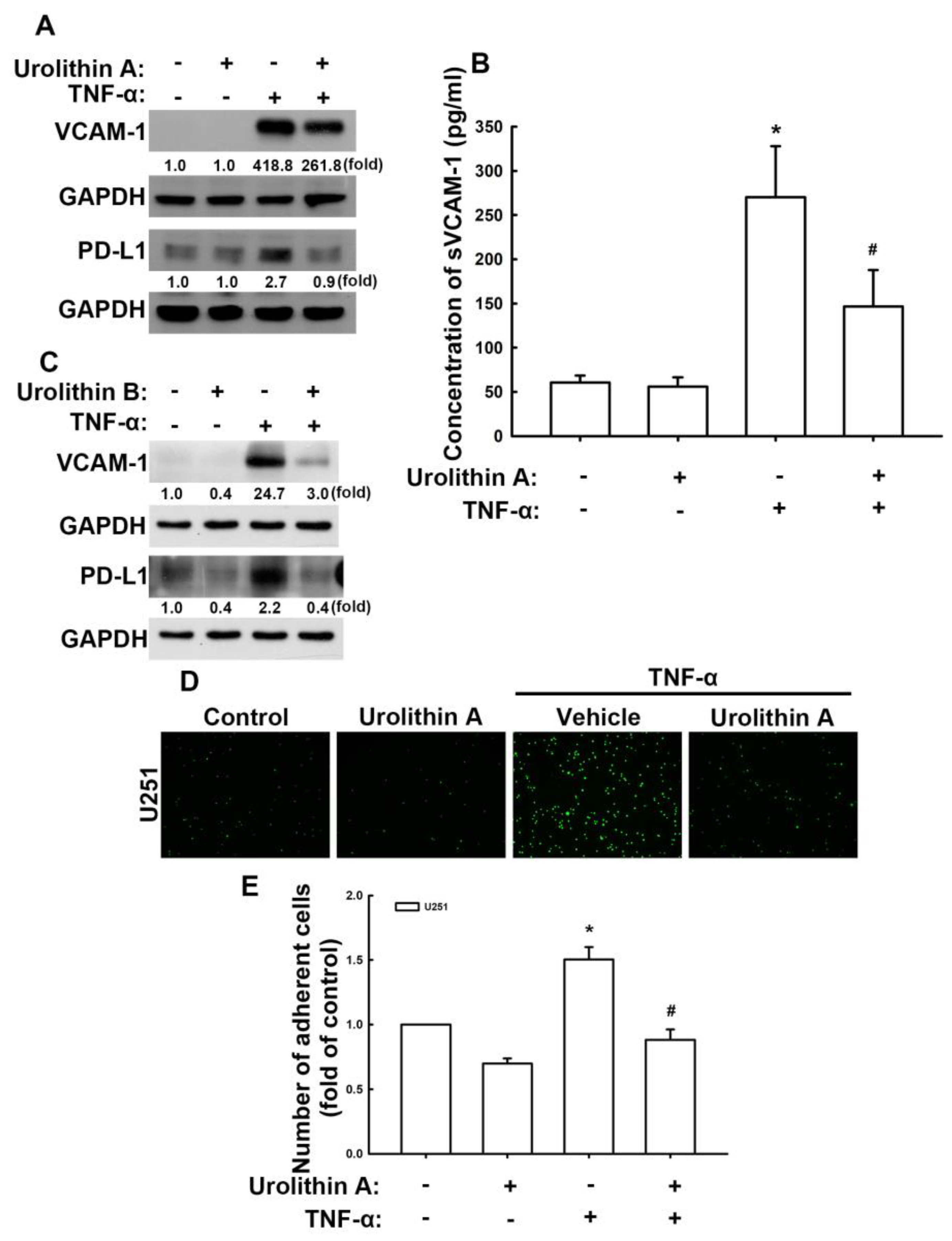 Nutrients 15 04854 g003