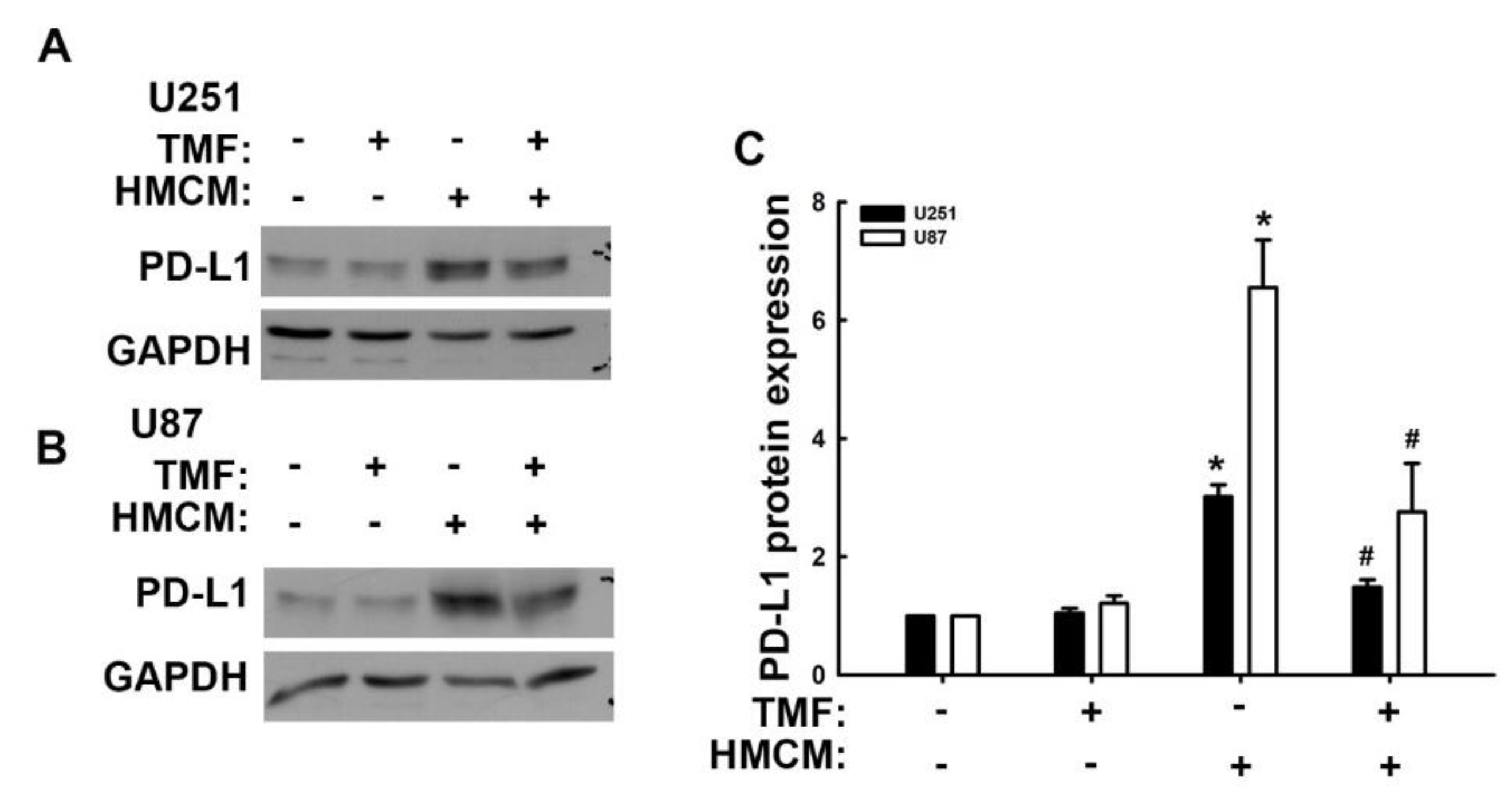 Nutrients 15 04854 g005