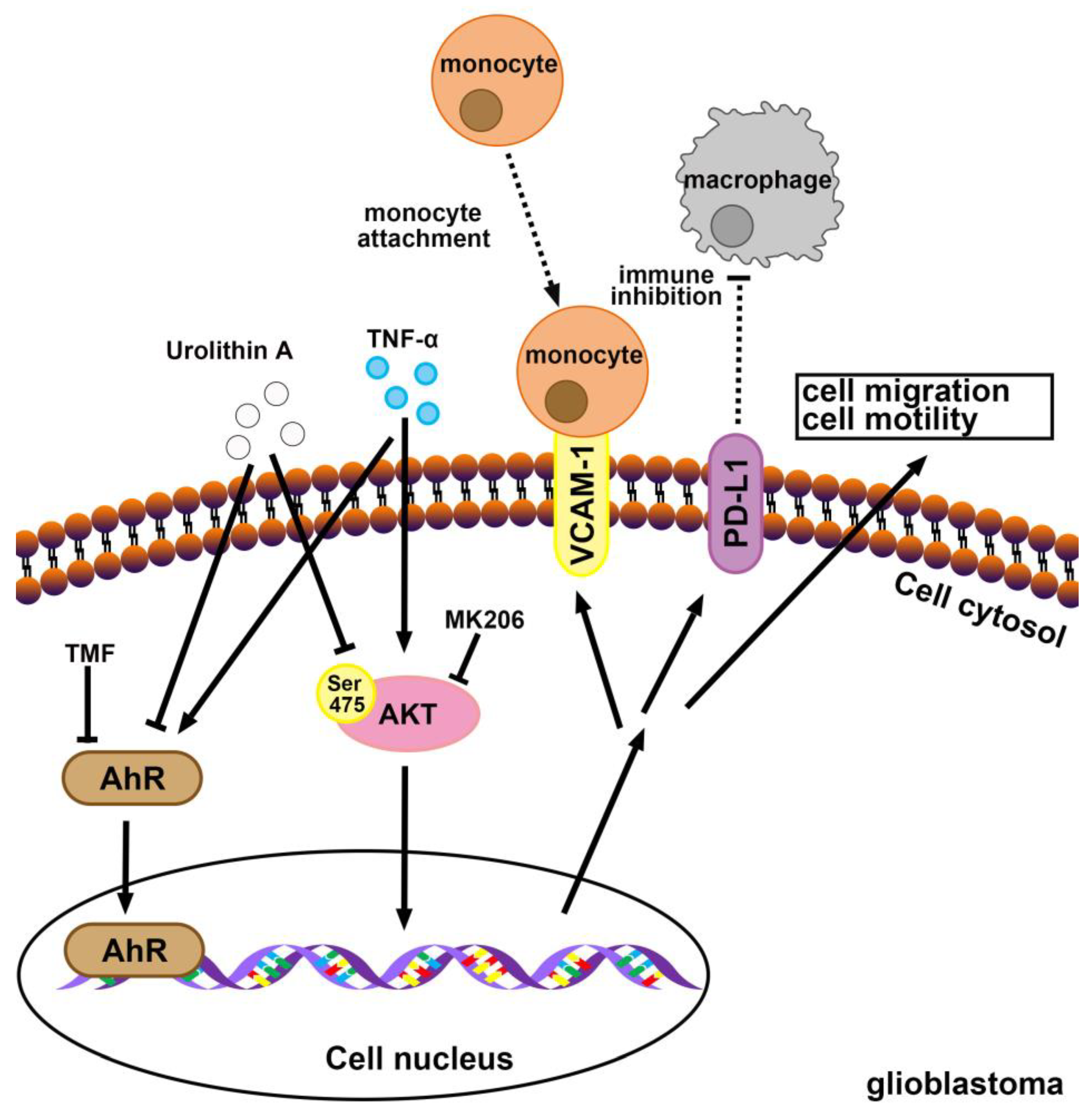 Nutrients 15 04854 g008