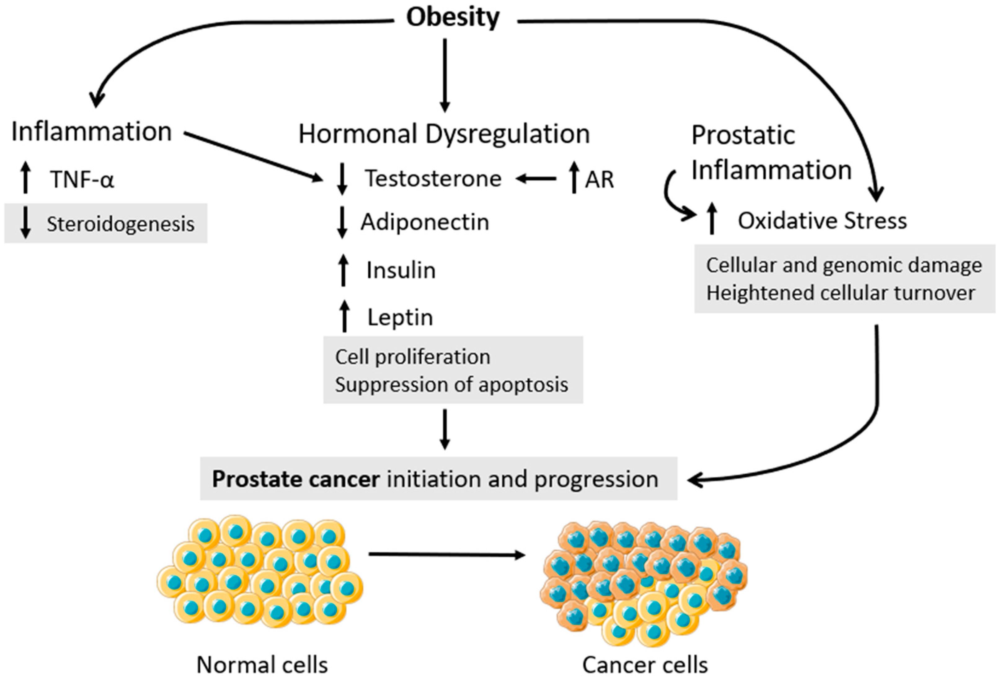 Nutrients 15 04858 g003 Nutrients 15 04858 g003