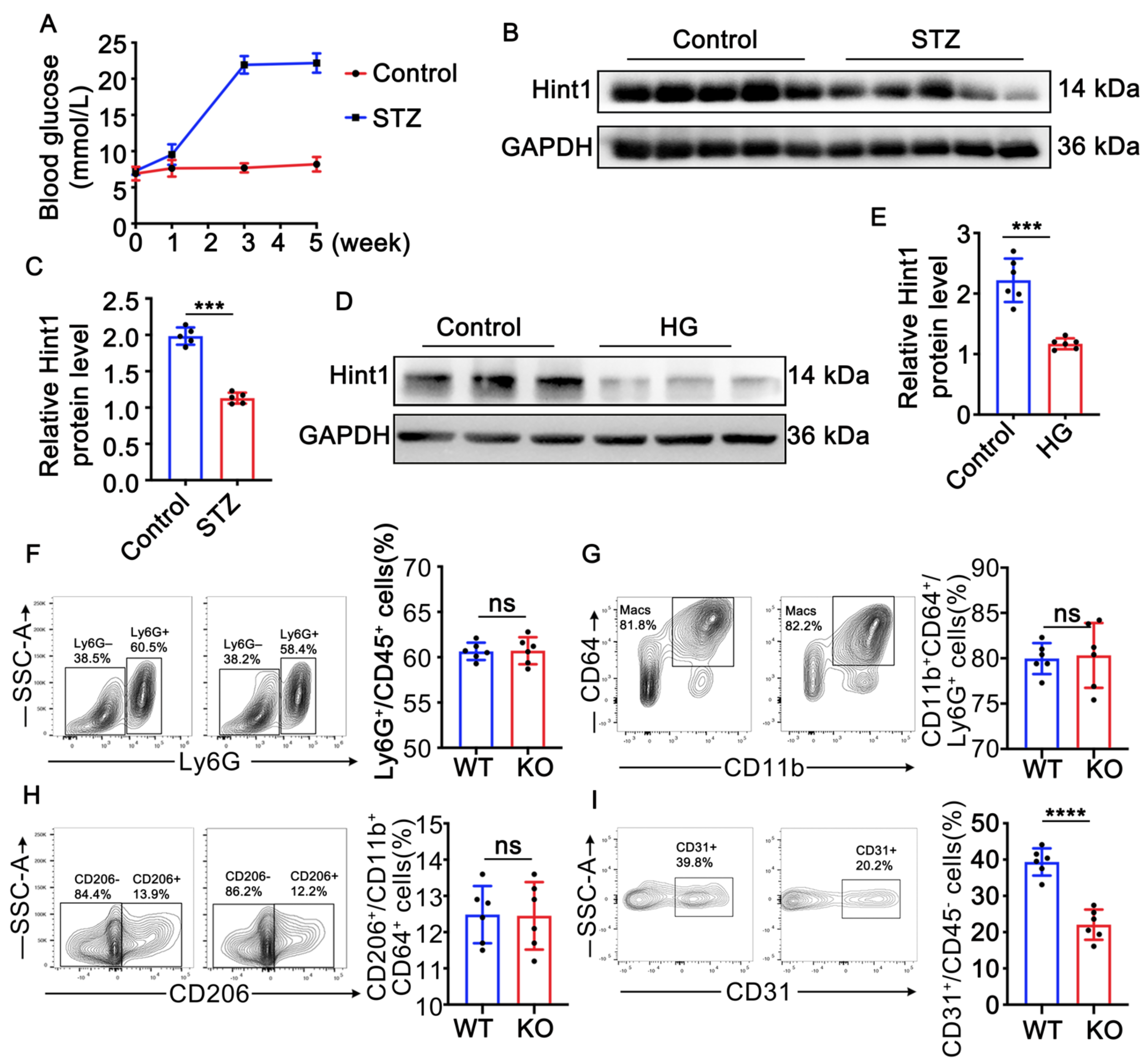 Nutrients 15 04859 g001