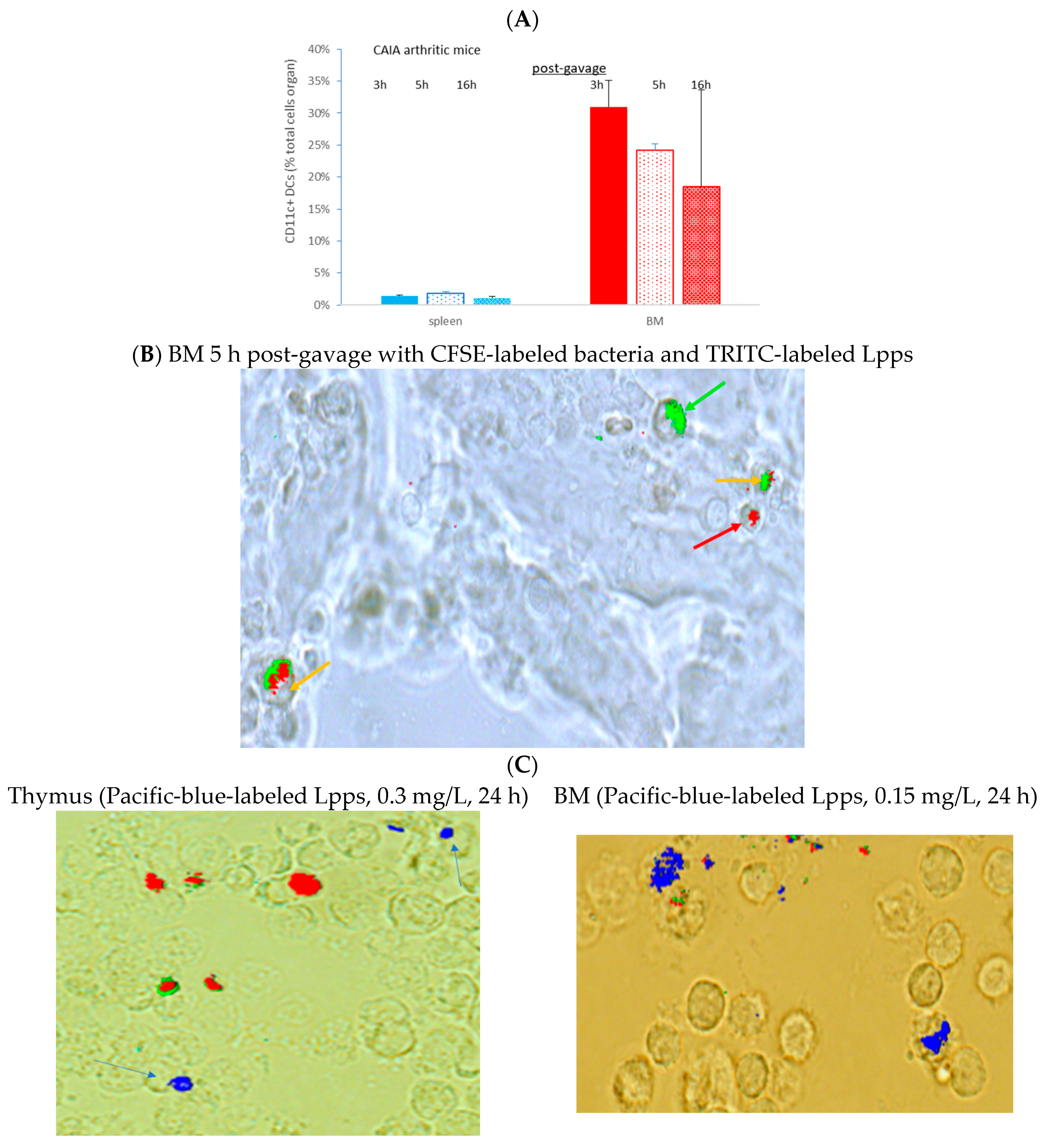 Nutrients 15 04861 g004a