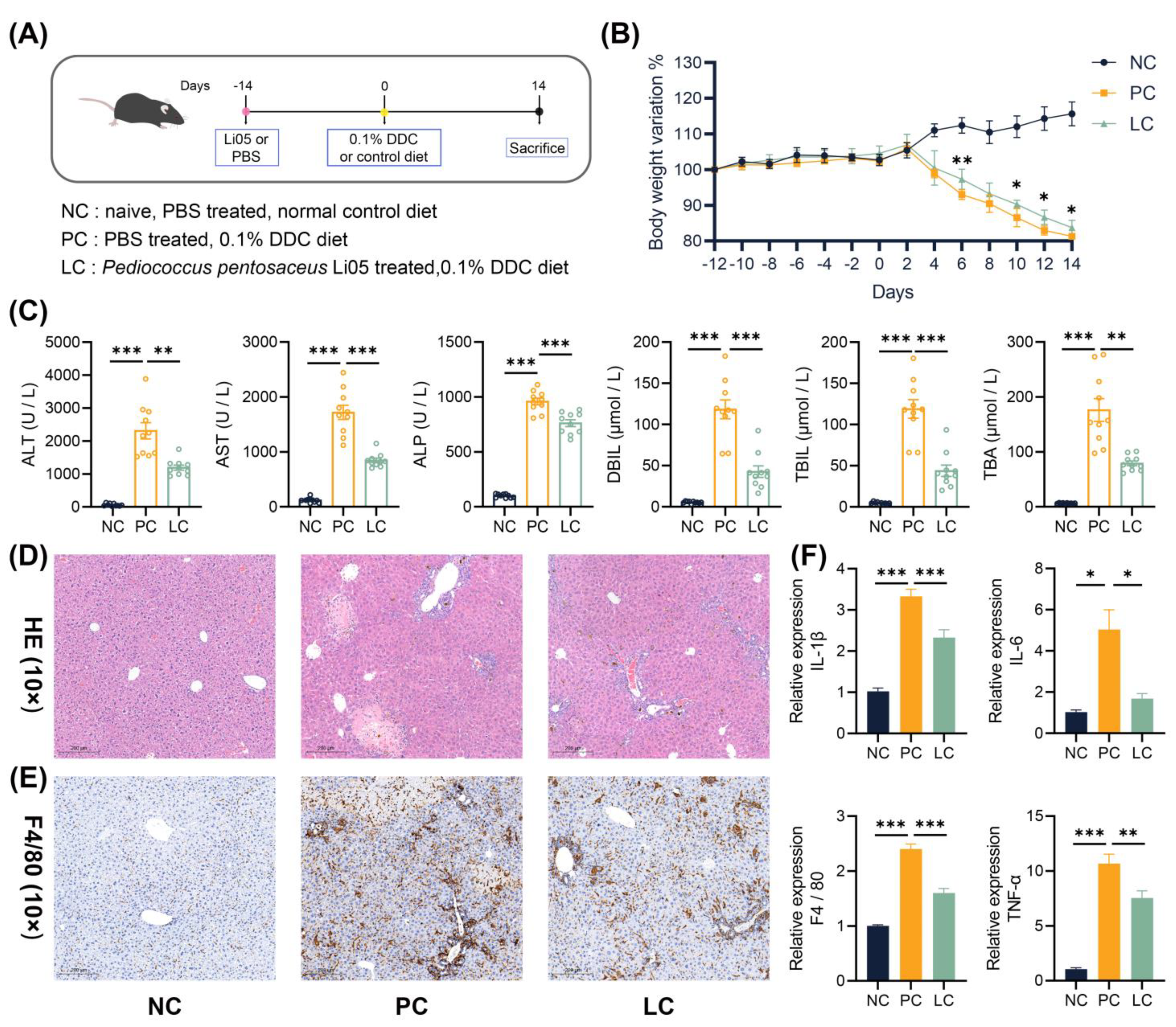 Nutrients 15 04864 g001