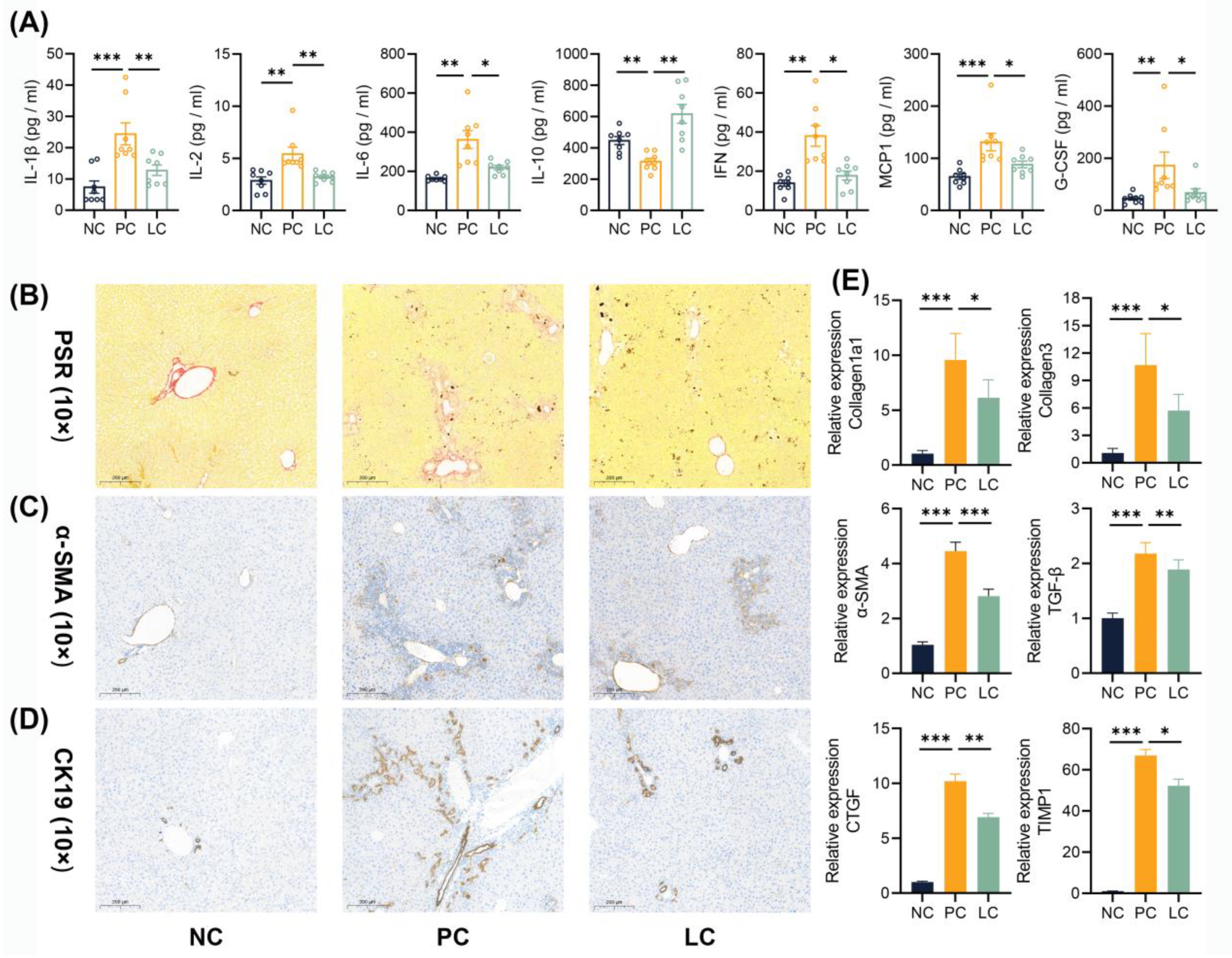 Nutrients 15 04864 g002