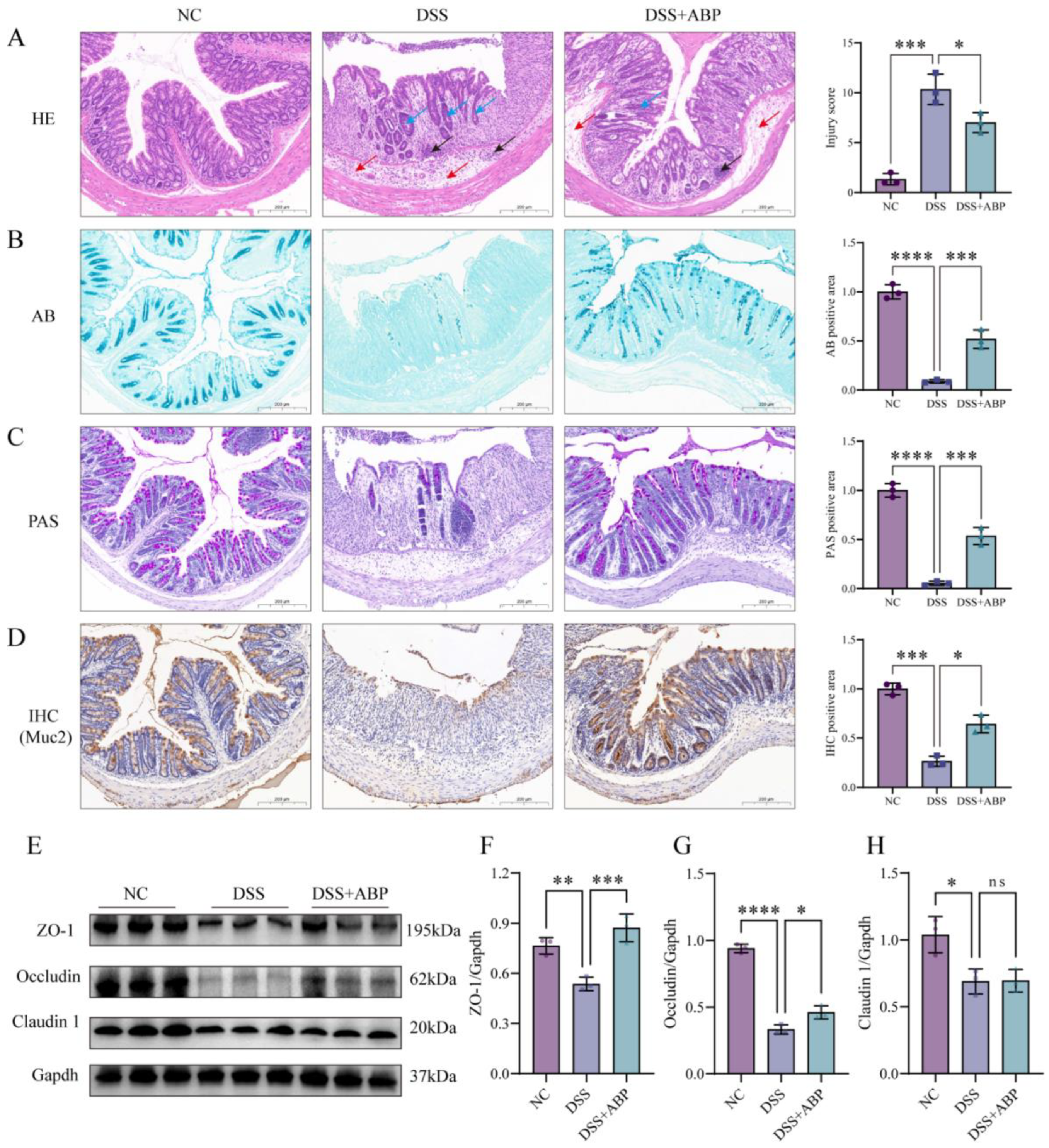 Nutrients 15 04877 g003