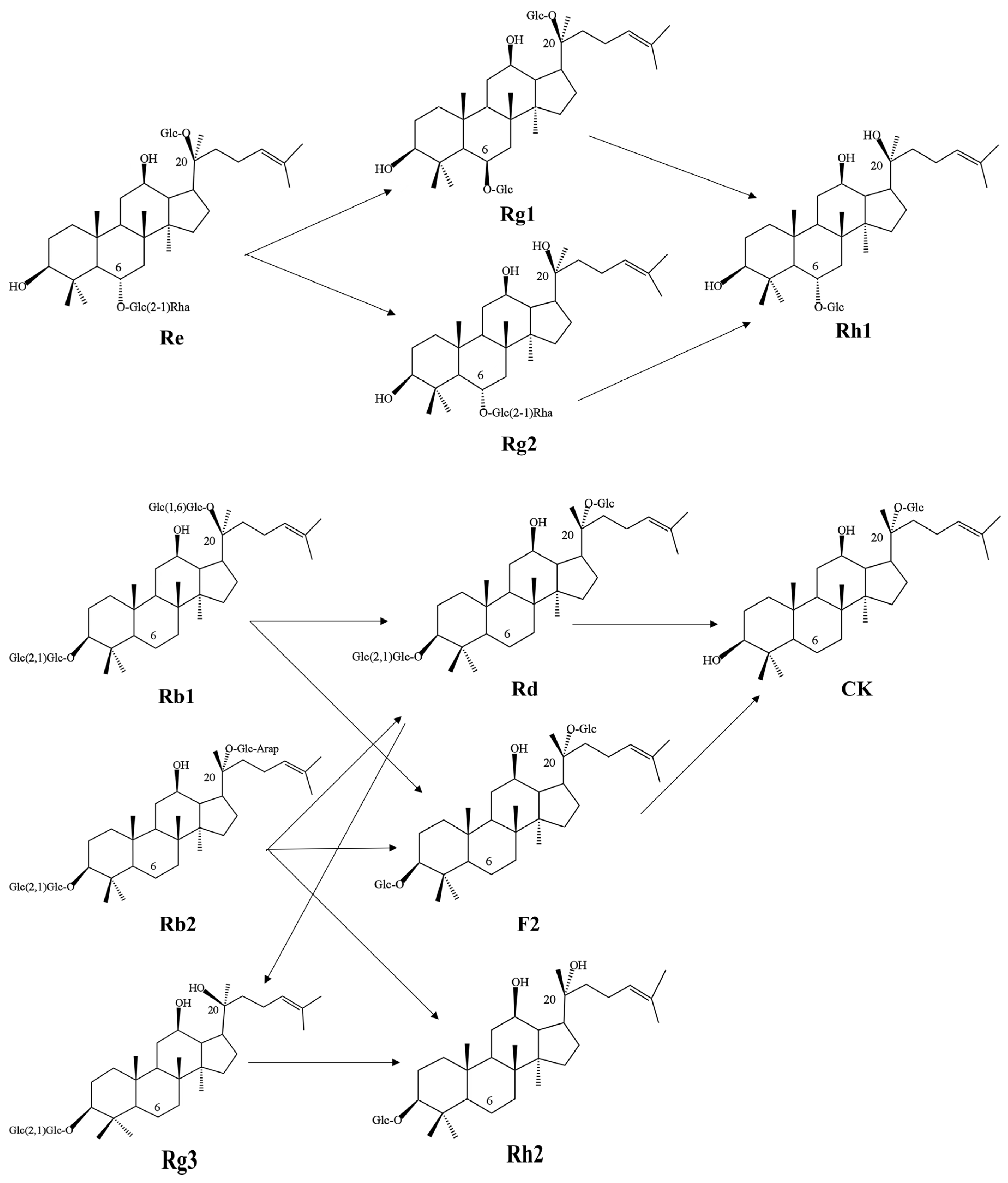 Nutrients 15 04878 g003 Nutrients 15 04878 g003