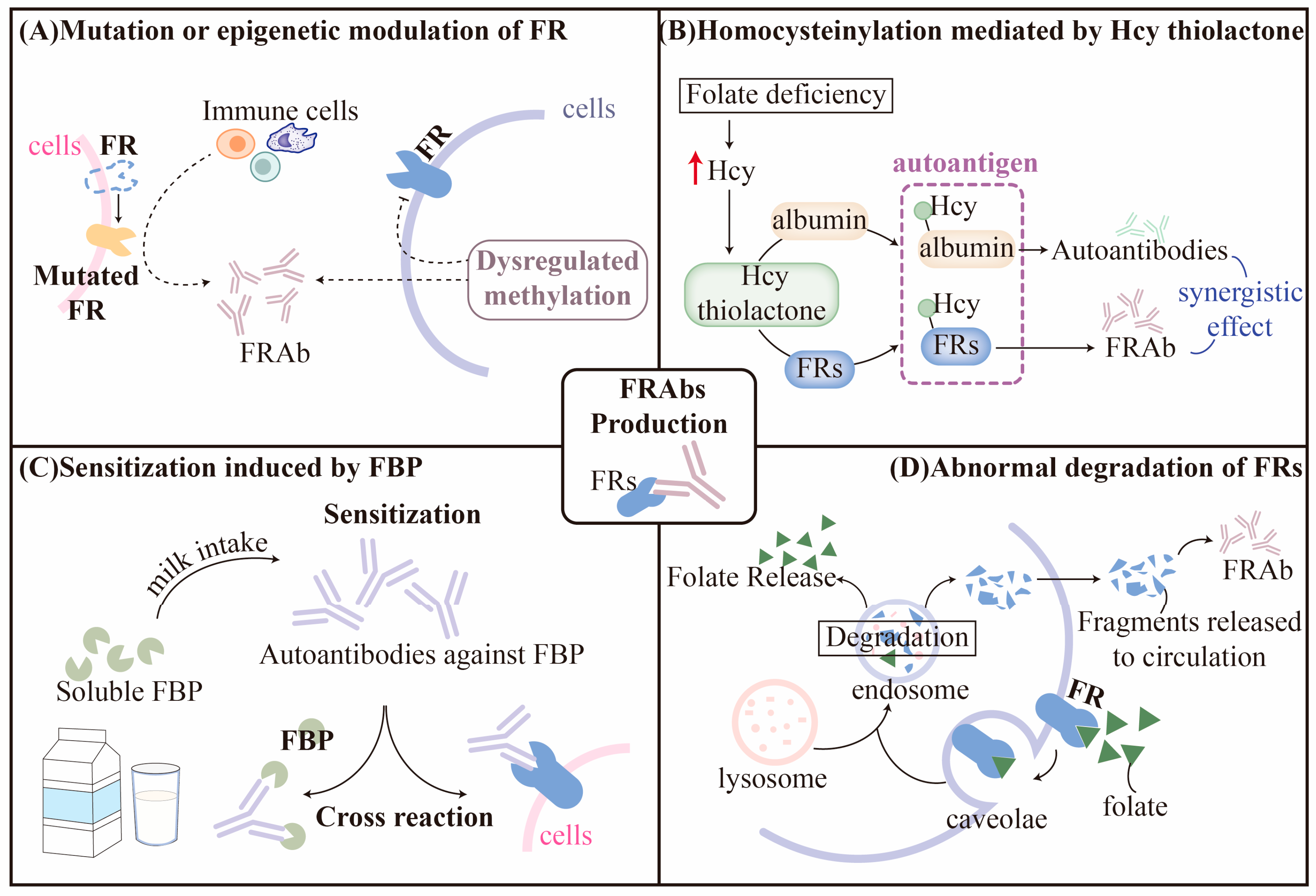 Nutrients 15 04882 g002 Nutrients 15 04882 g002