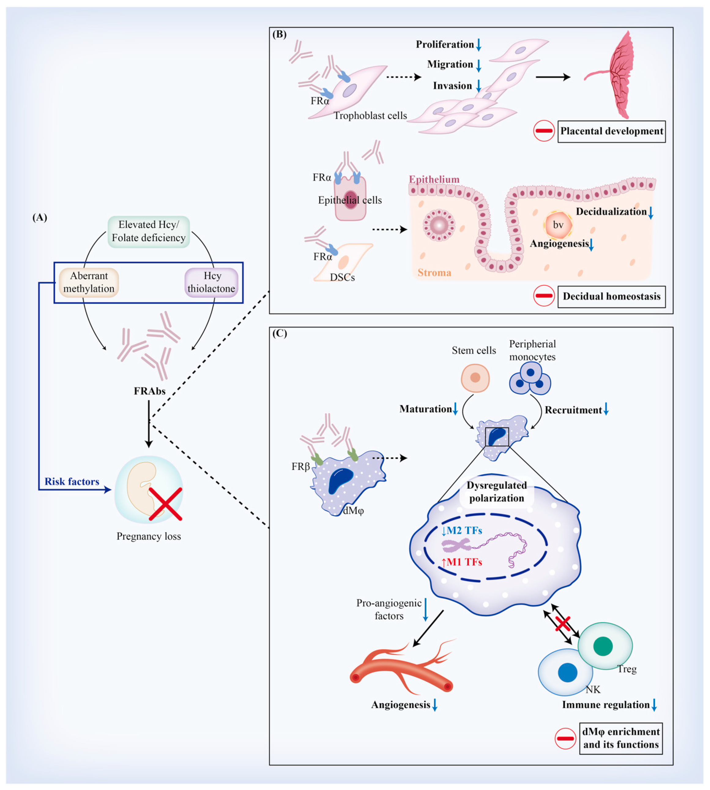 Nutrients 15 04882 g003 Nutrients 15 04882 g003