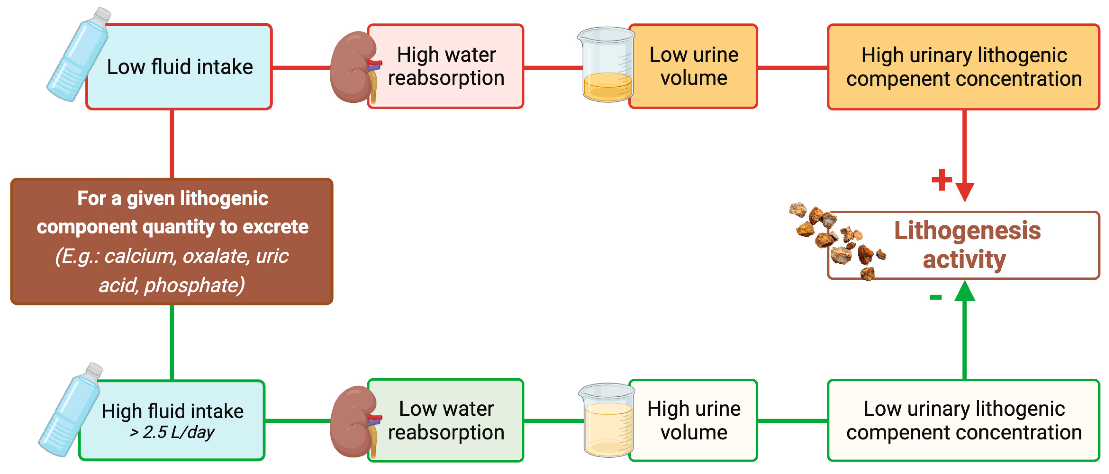 Nutrients 15 04885 g003