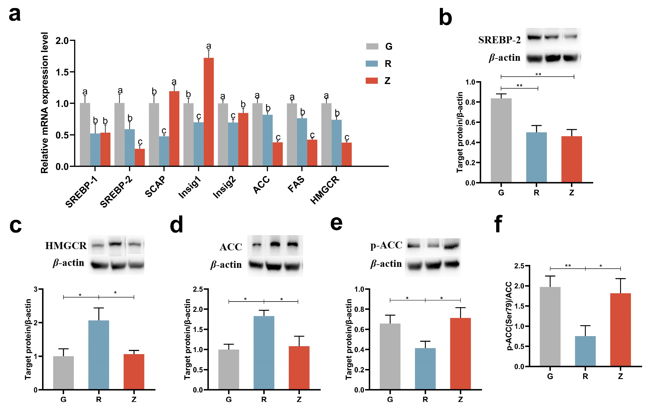 Nutrients 15 04888 g004