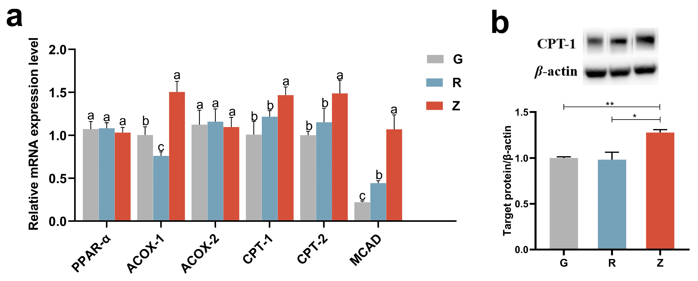 Nutrients 15 04888 g005